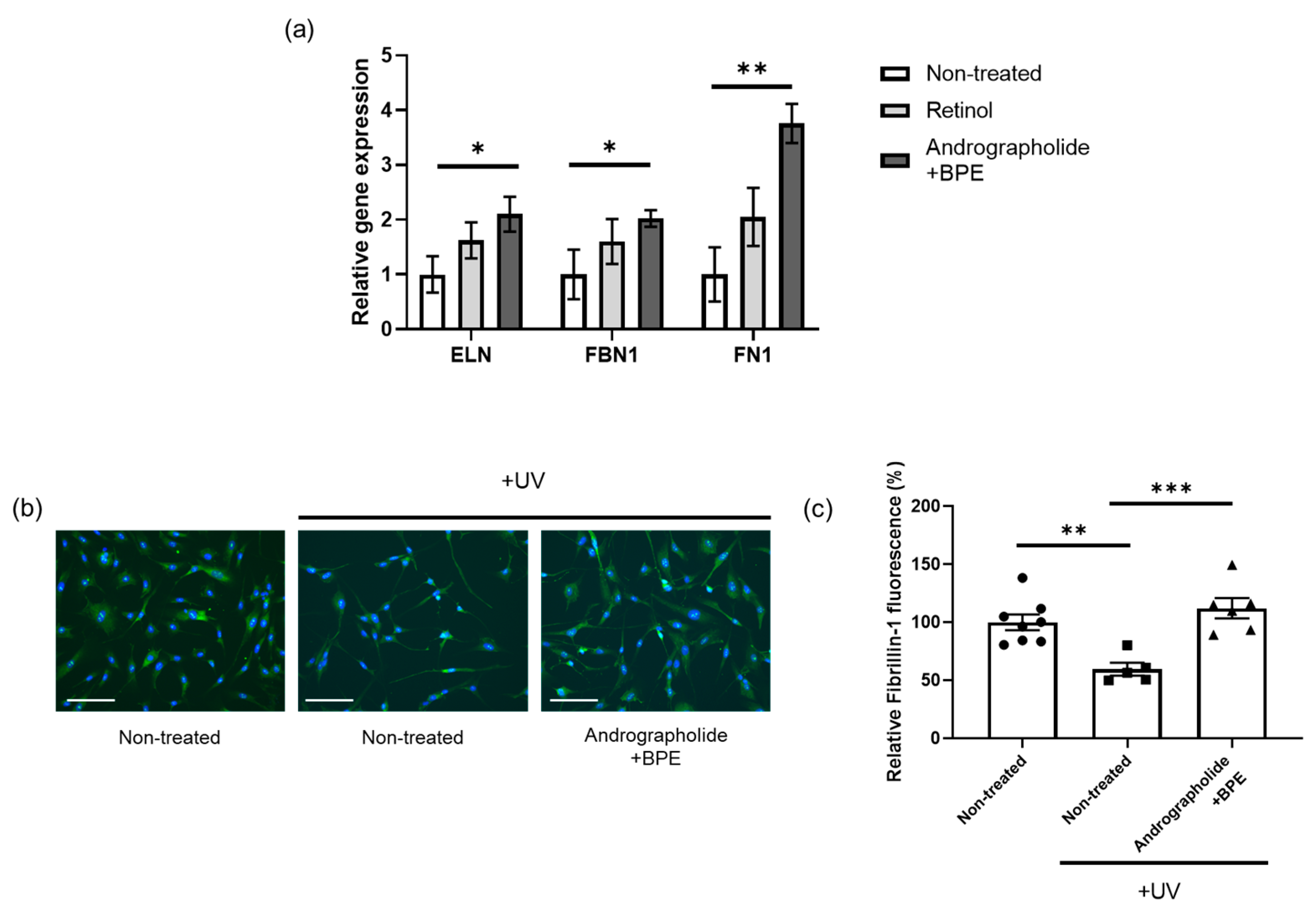 Biomolecules 15 00296 g003 Biomolecules 15 00296 g003