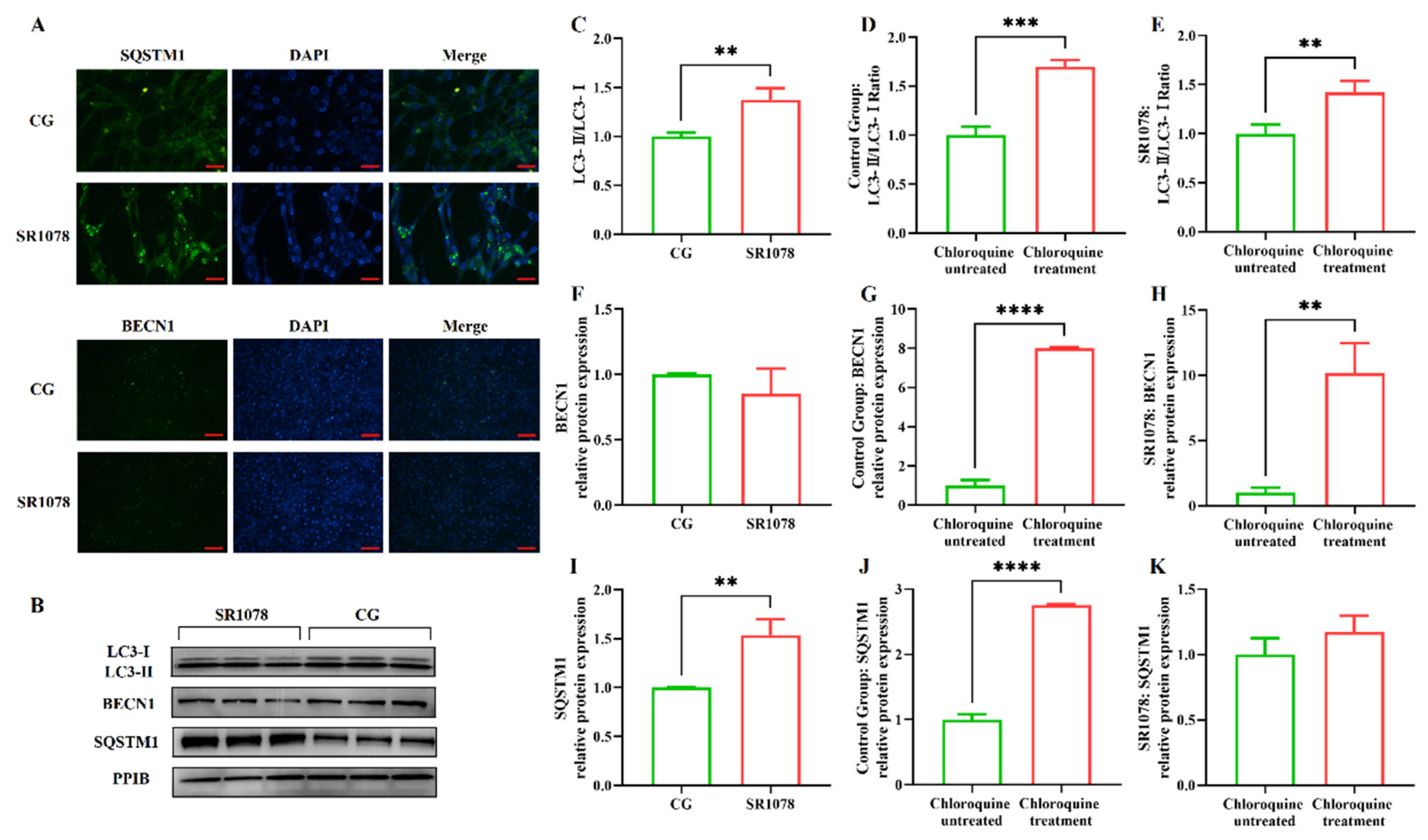 Biomolecules 15 00299 g002