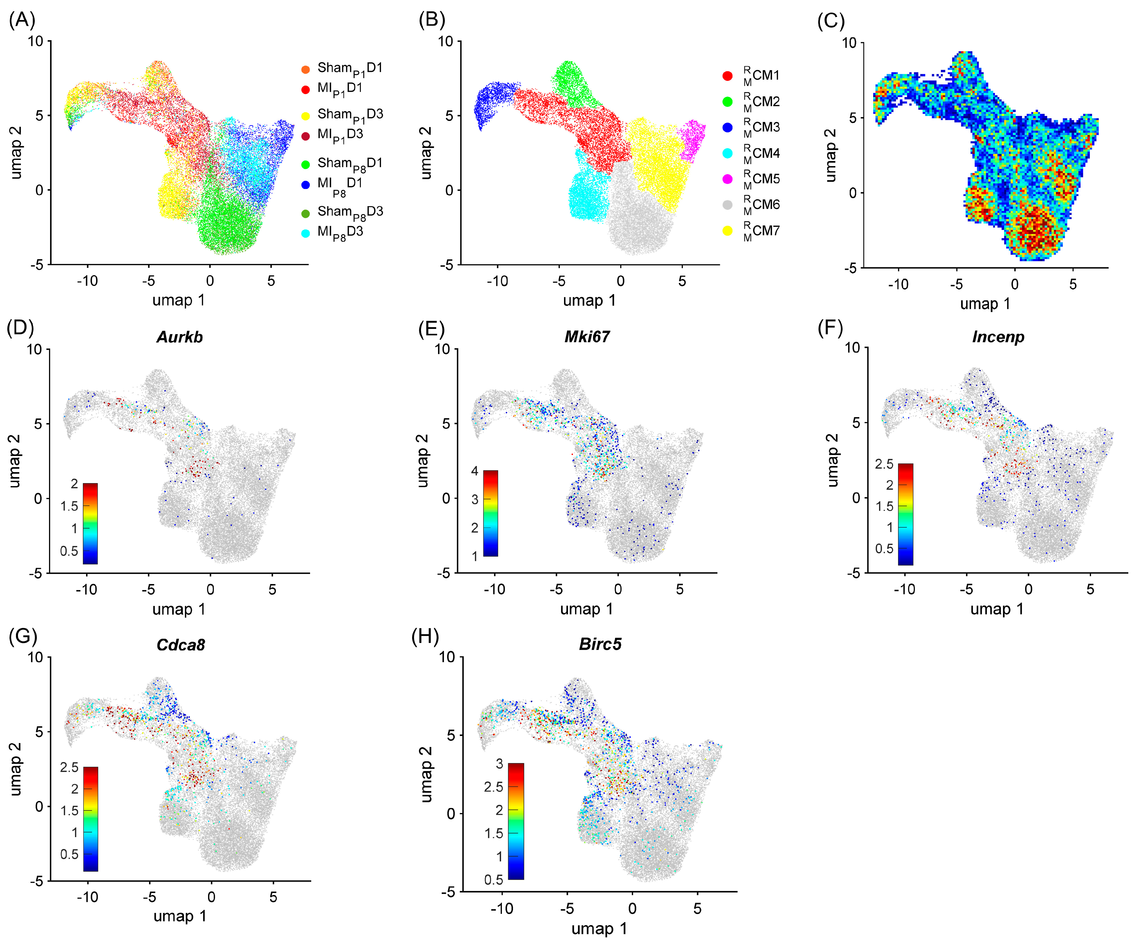 Biomolecules 15 00310 g001