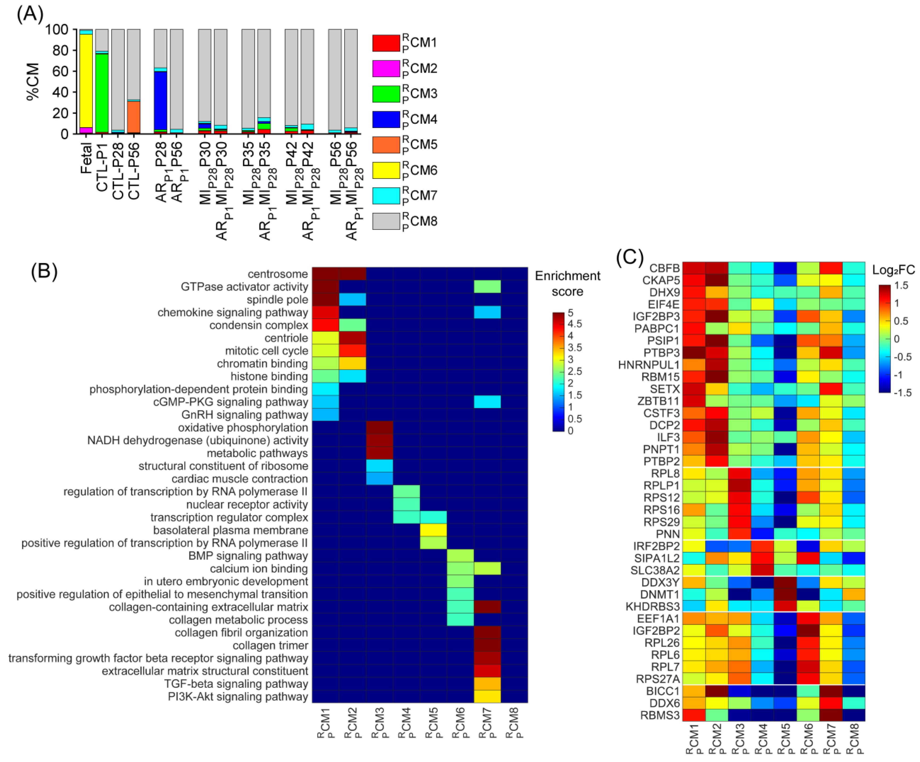 Biomolecules 15 00310 g004
