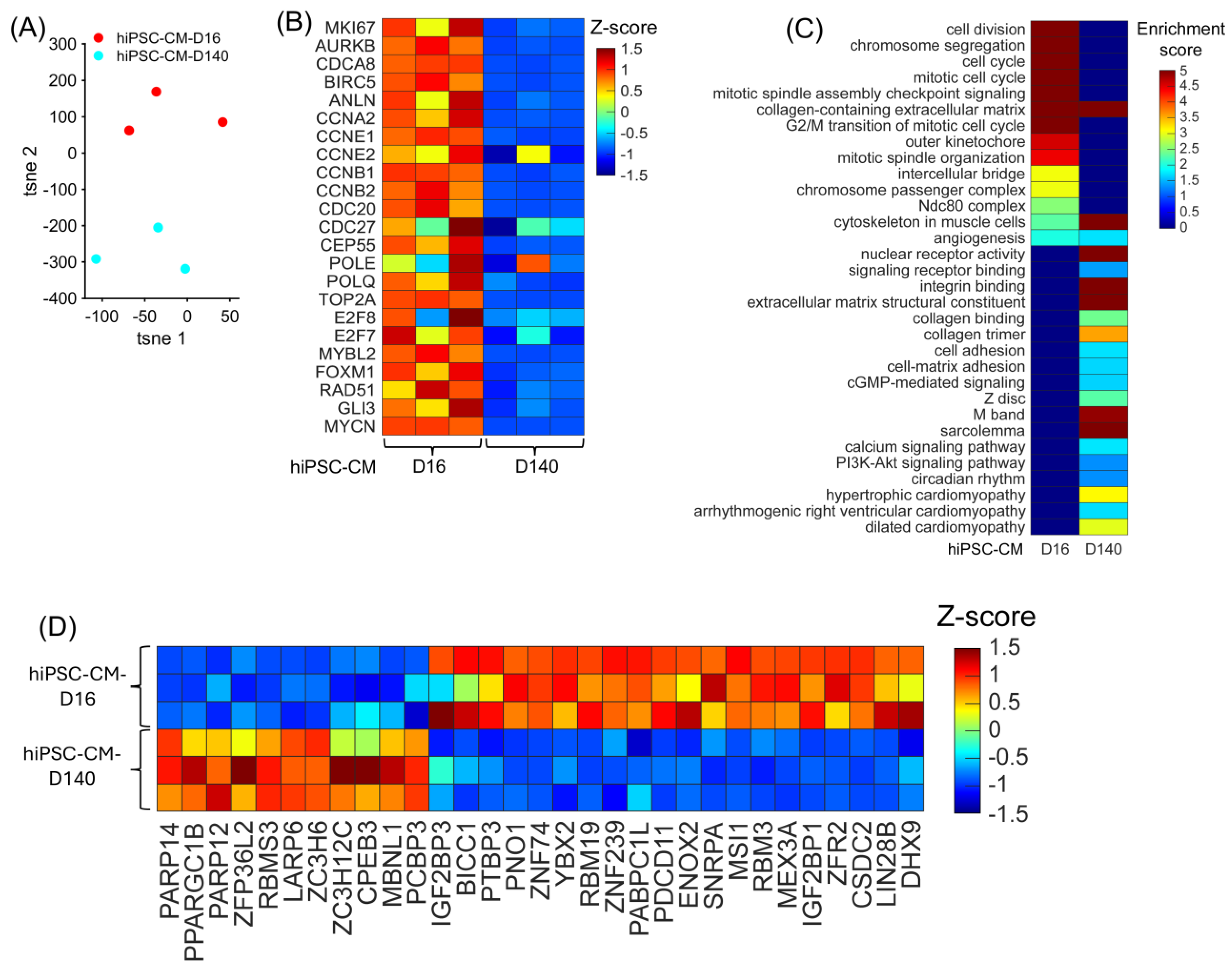 Biomolecules 15 00310 g005