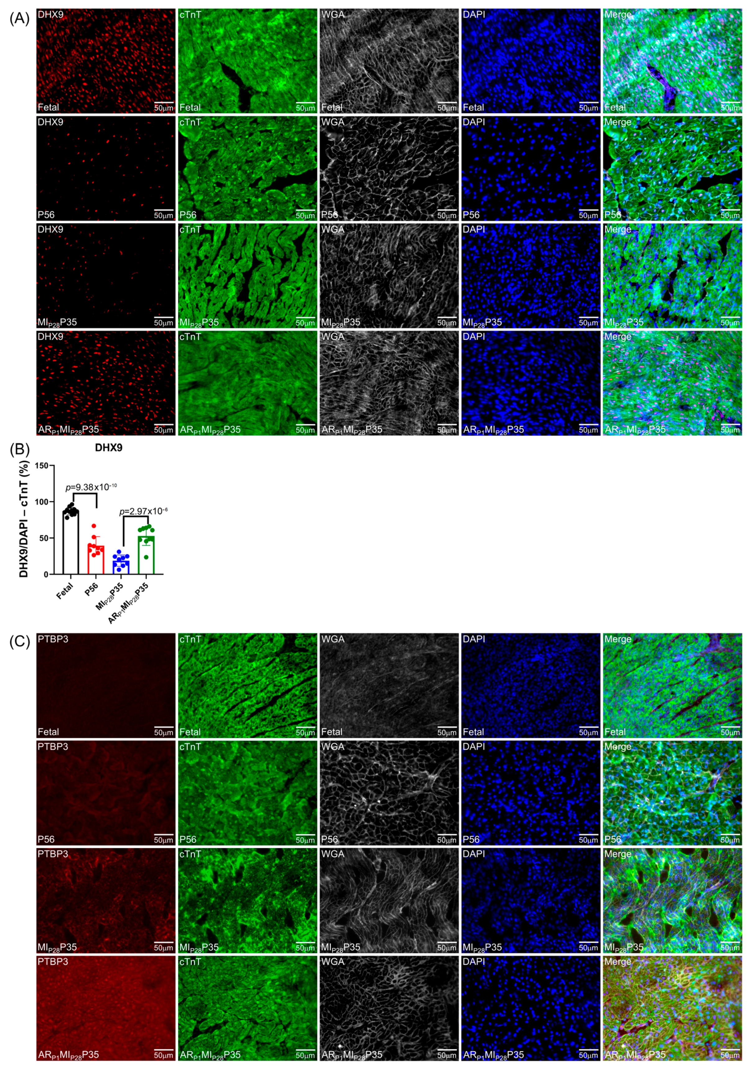 Biomolecules 15 00310 g007a