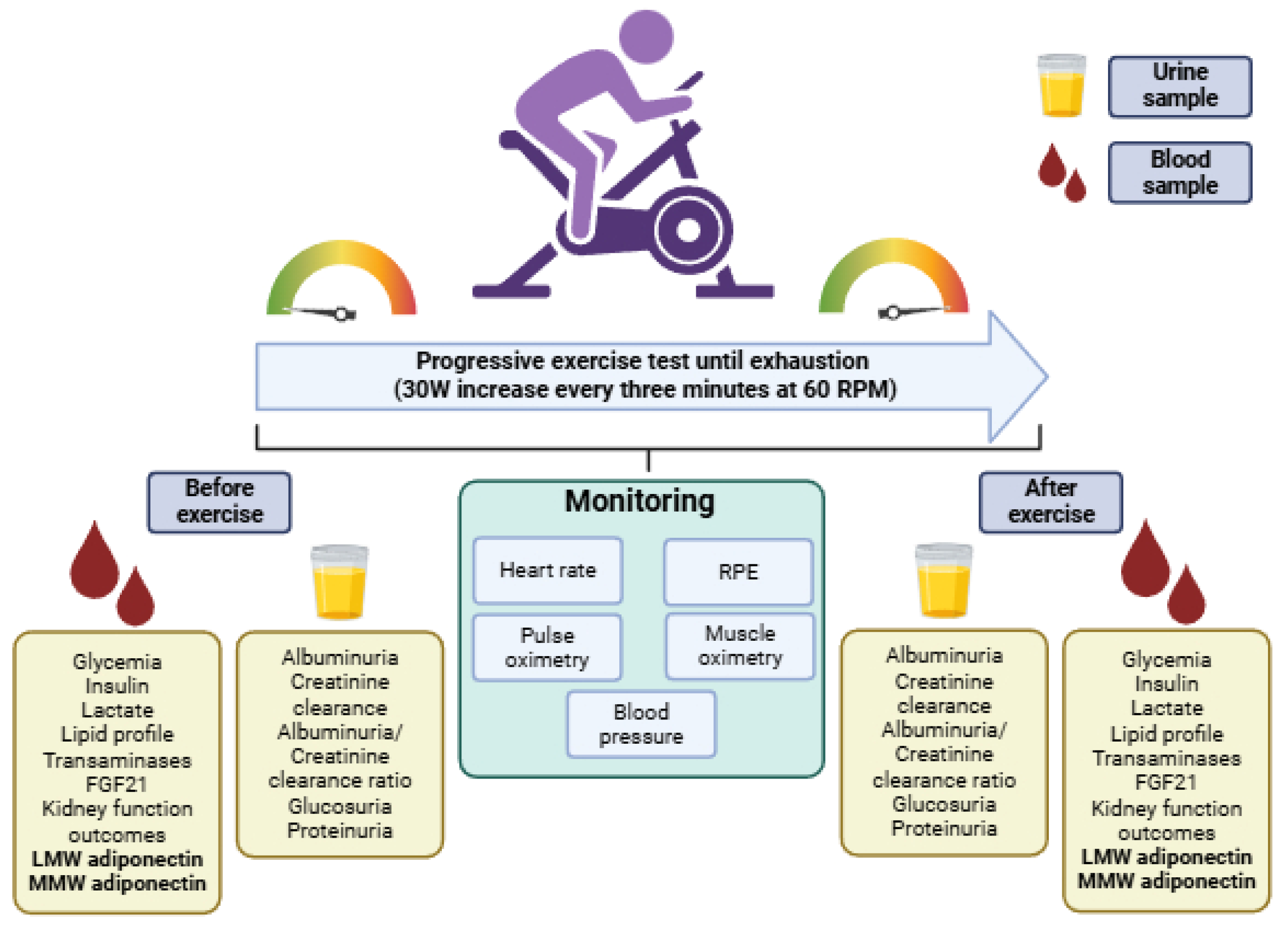 Biomolecules 15 00314 g001