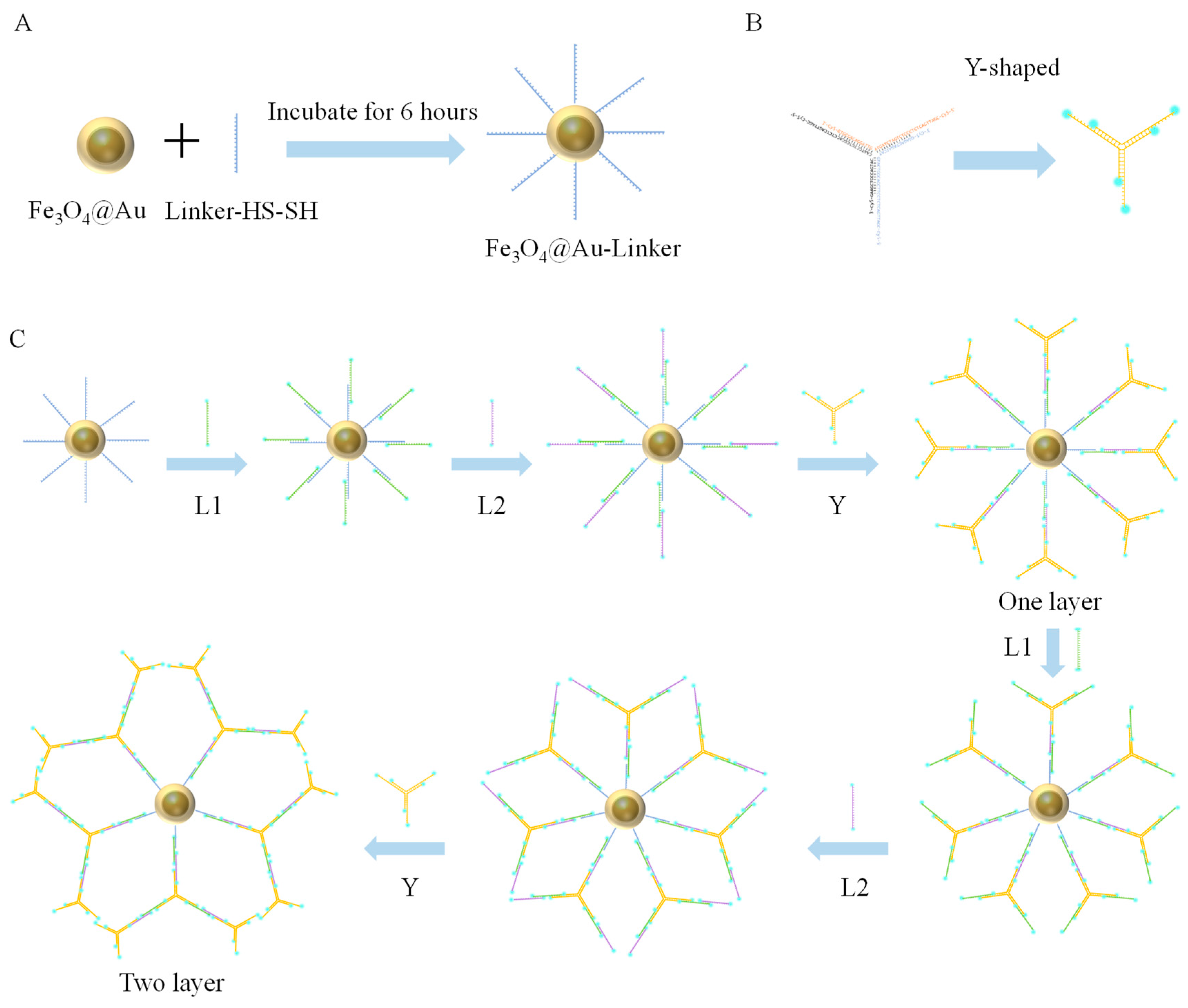 Biomolecules 15 00315 g001