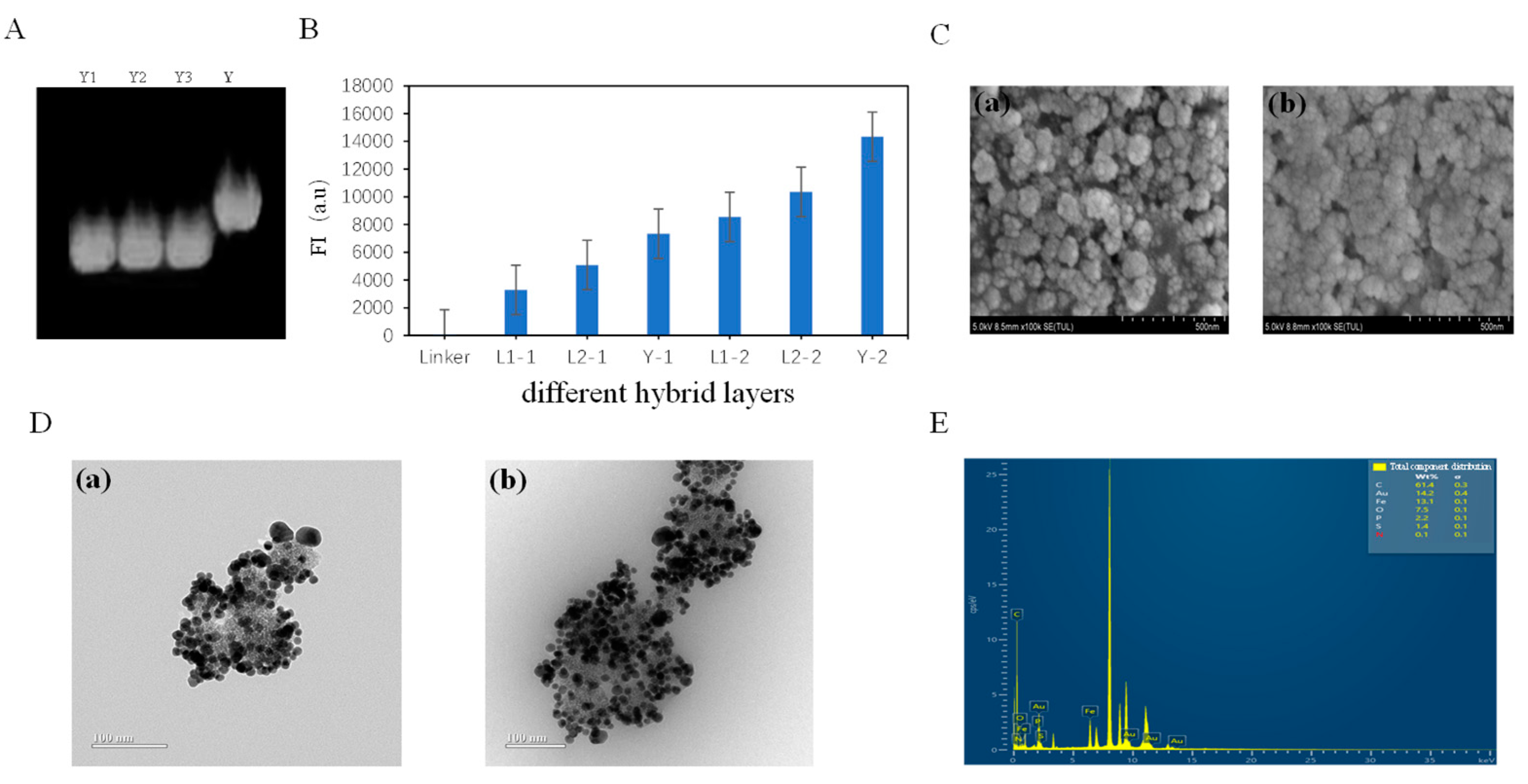 Biomolecules 15 00315 g002
