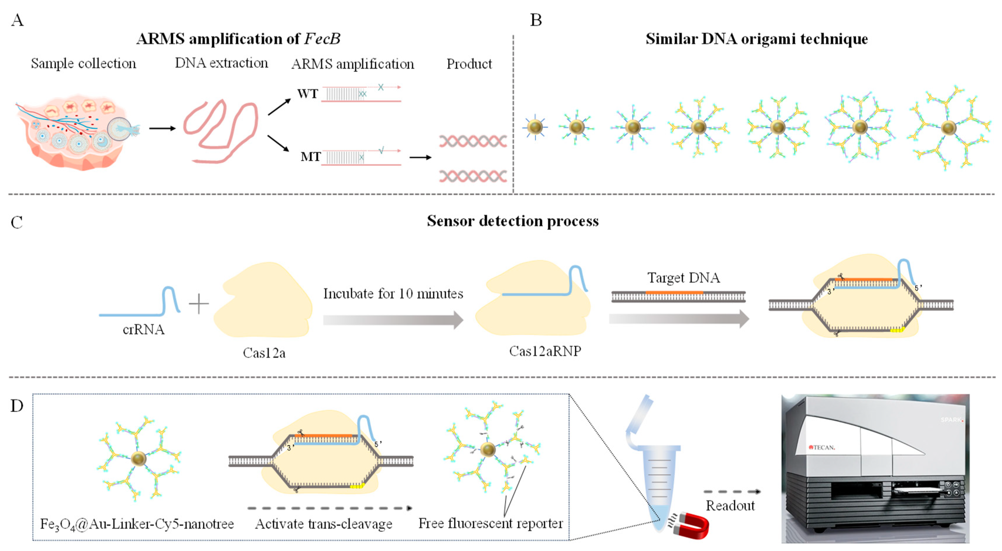 Biomolecules 15 00315 sch001