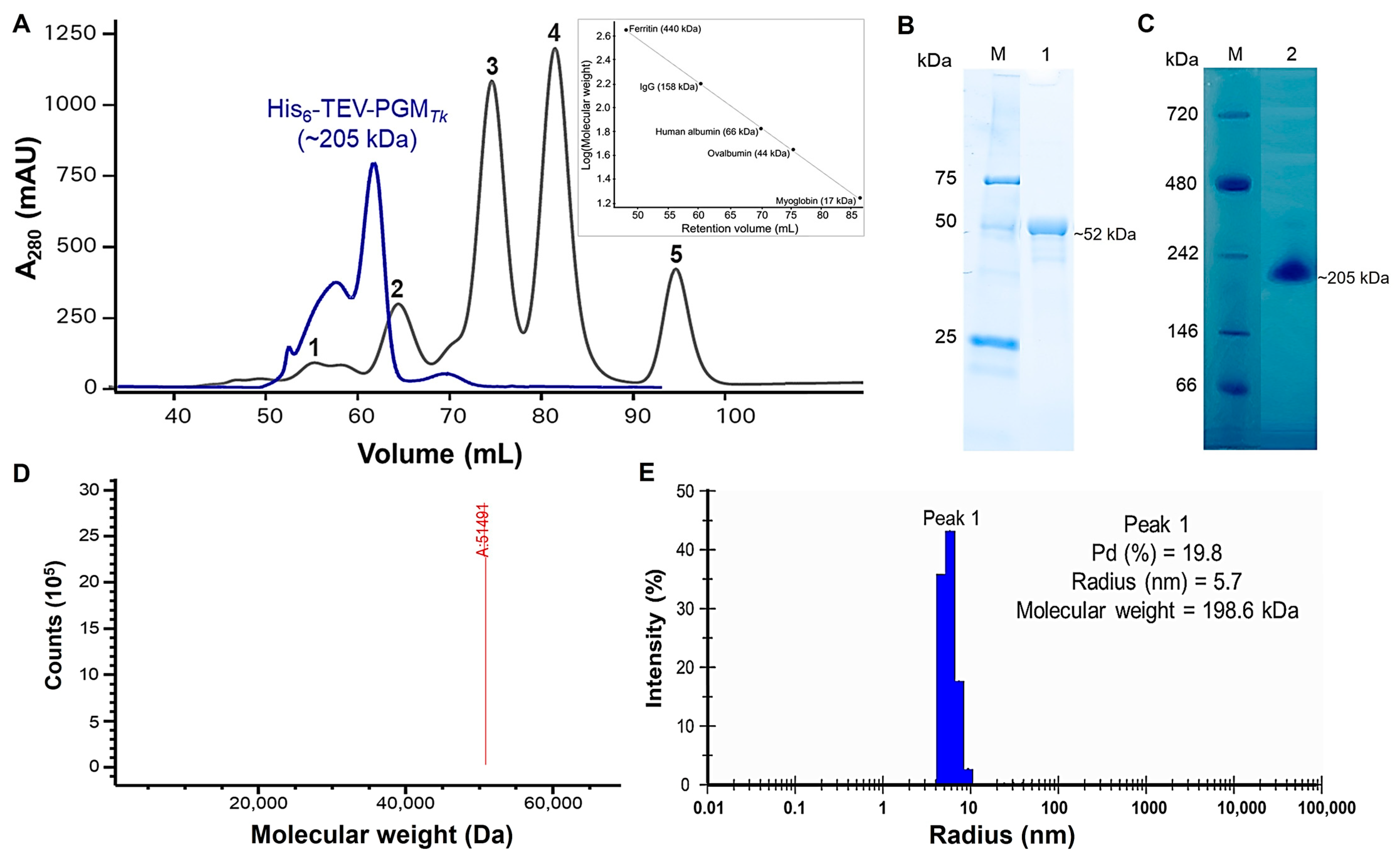 Biomolecules 15 00319 g001