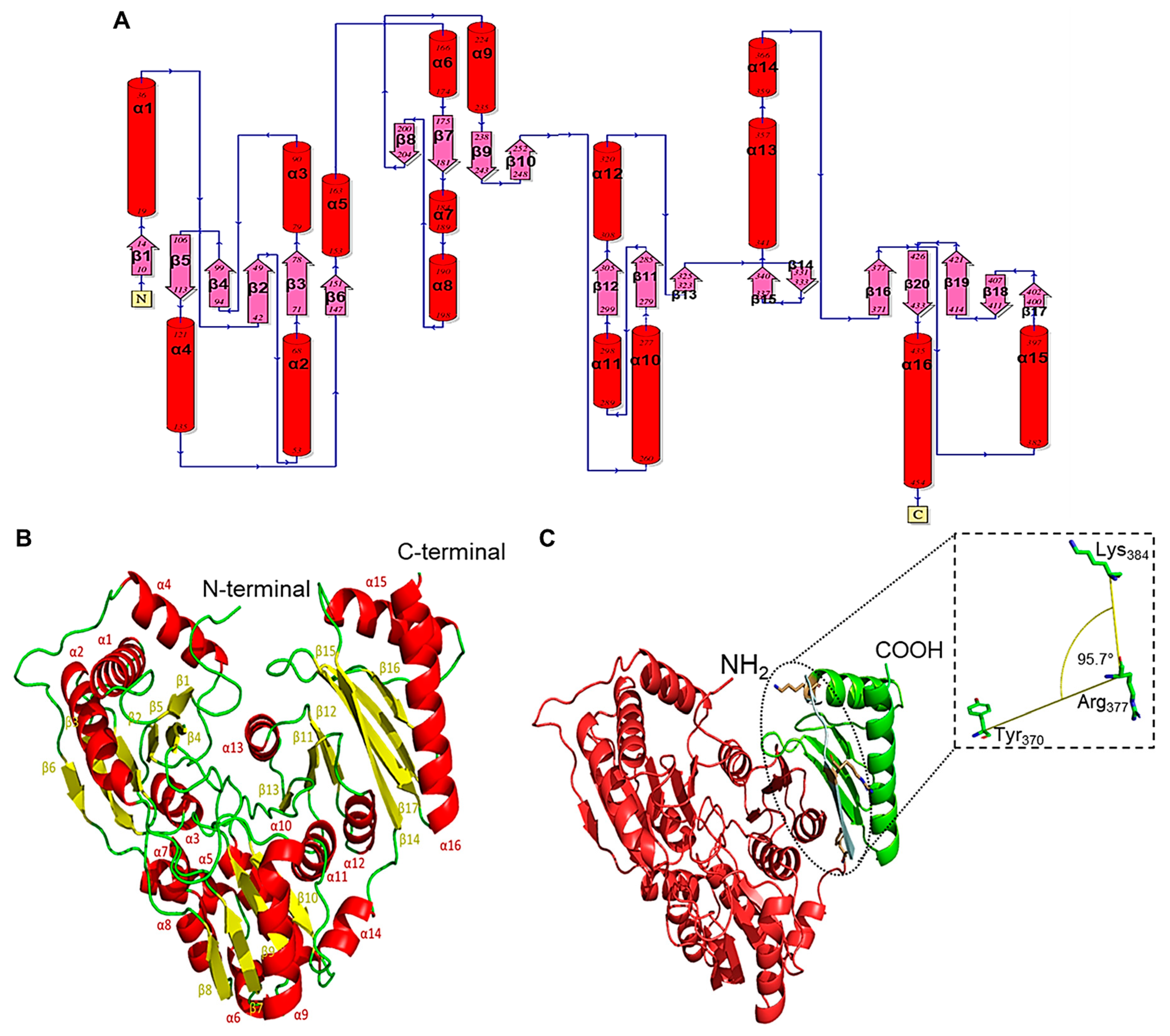 Biomolecules 15 00319 g004