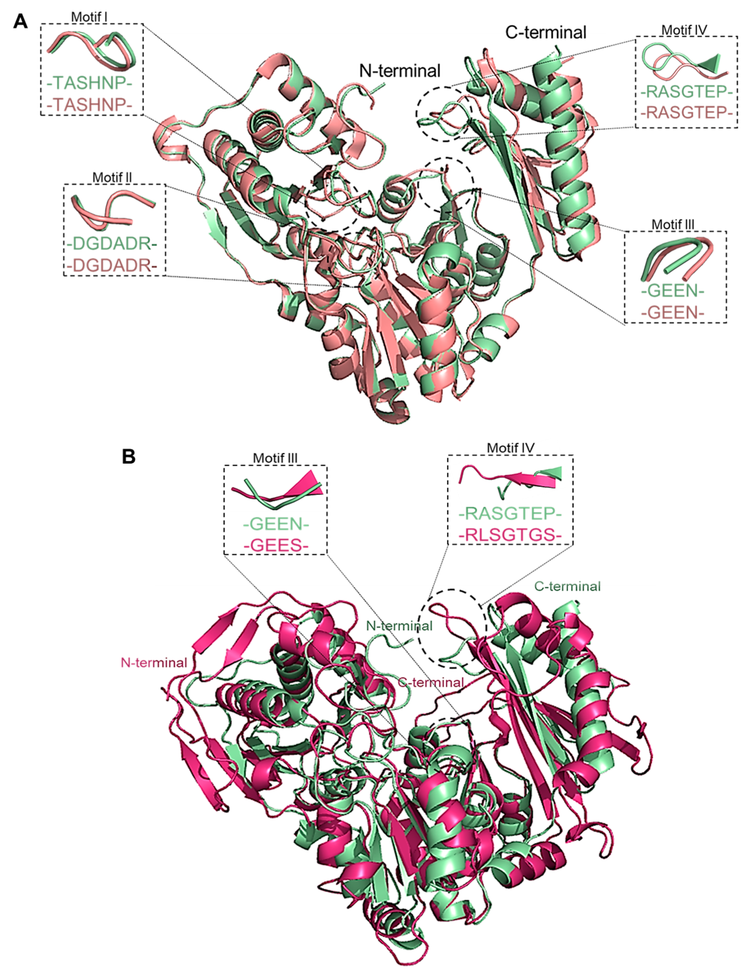 Biomolecules 15 00319 g006