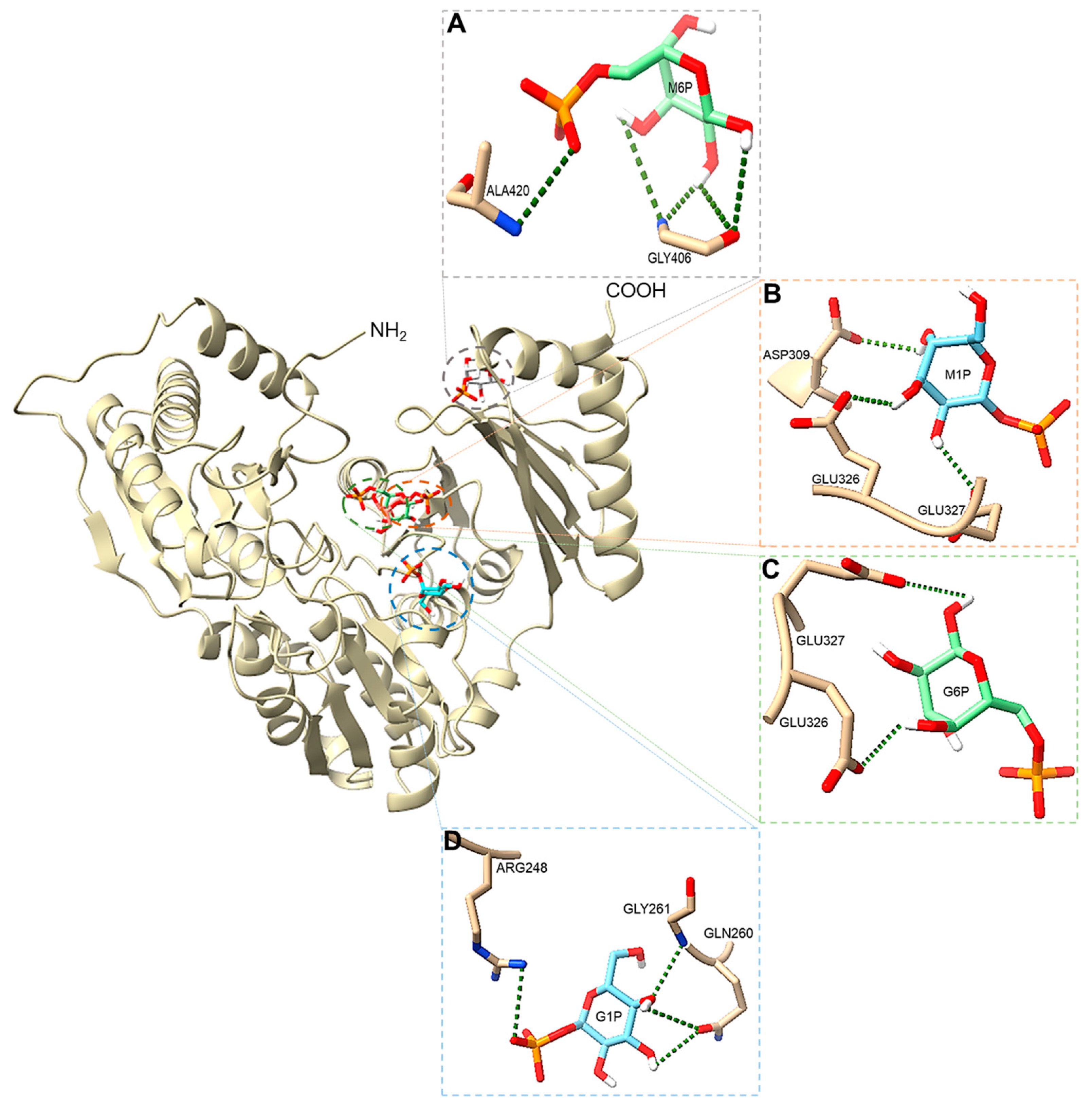 Biomolecules 15 00319 g008