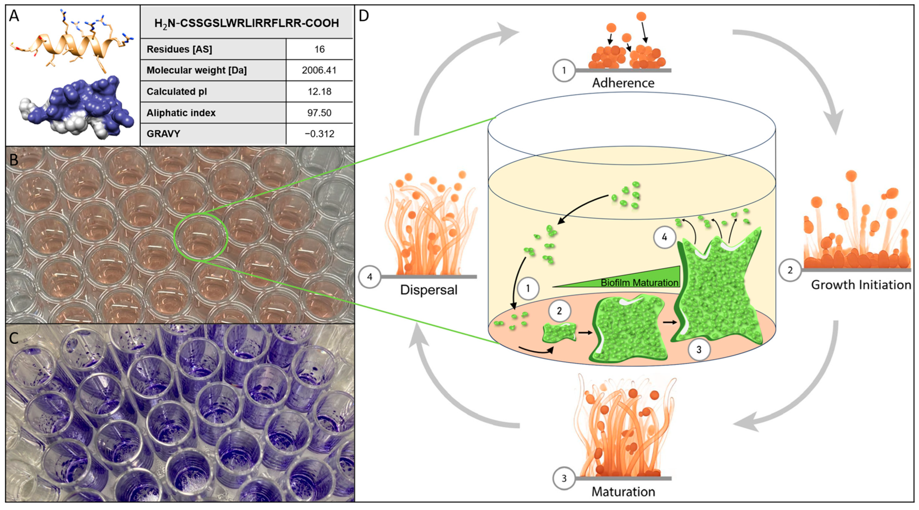 Biomolecules 15 00322 g001