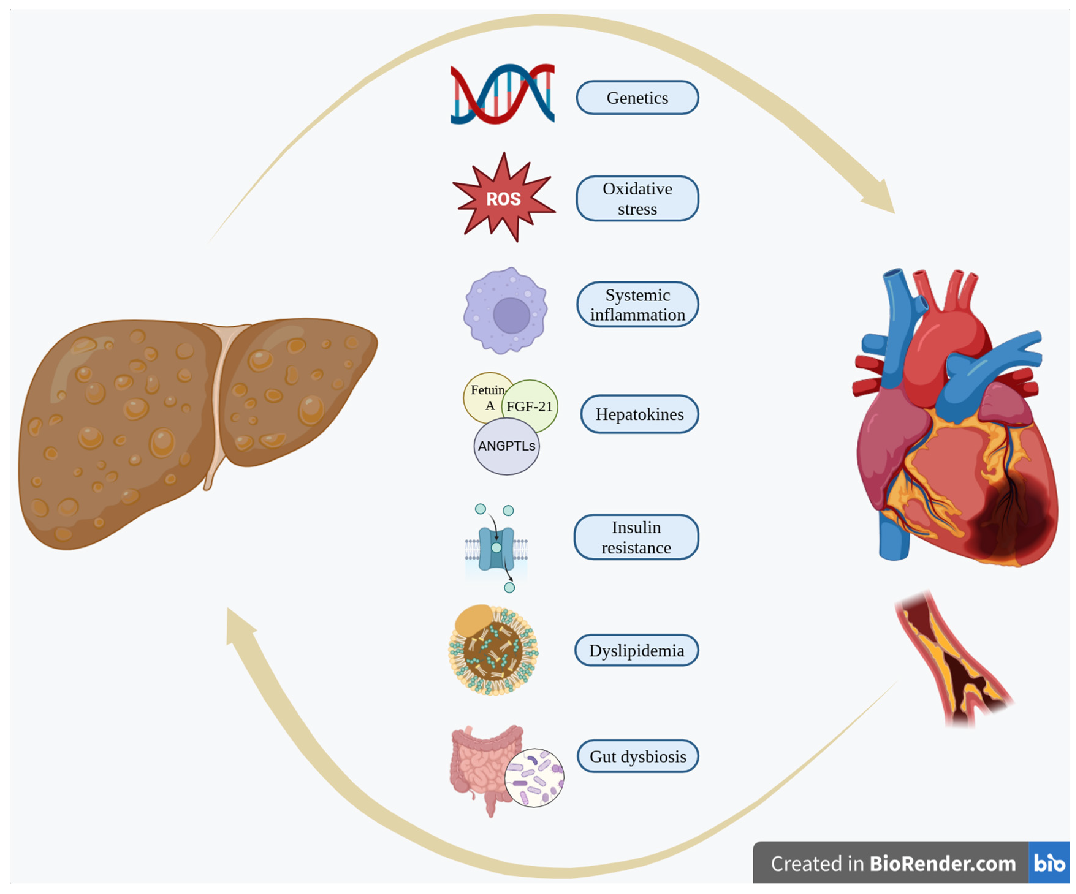Biomolecules 15 00324 g001