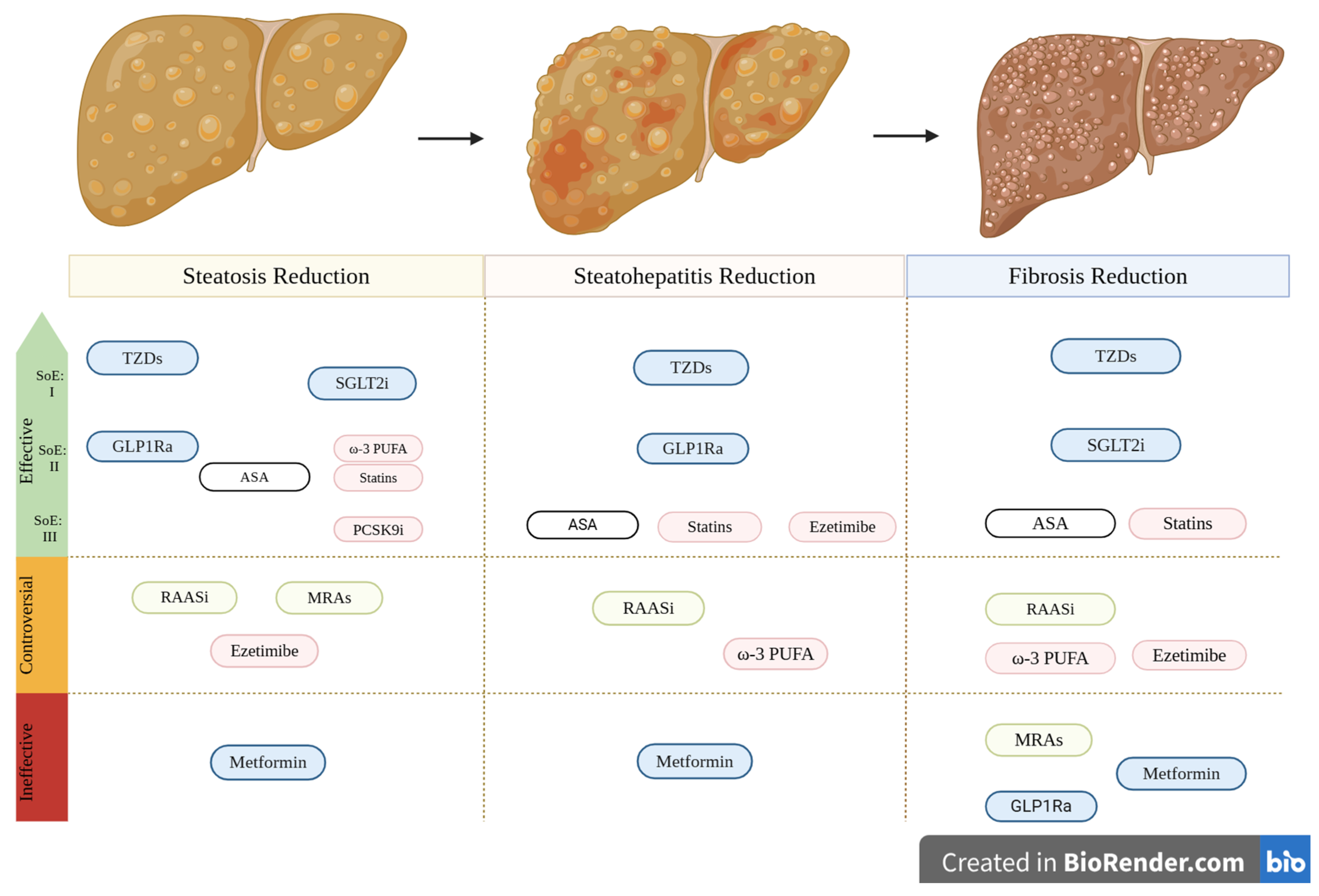 Biomolecules 15 00324 g002