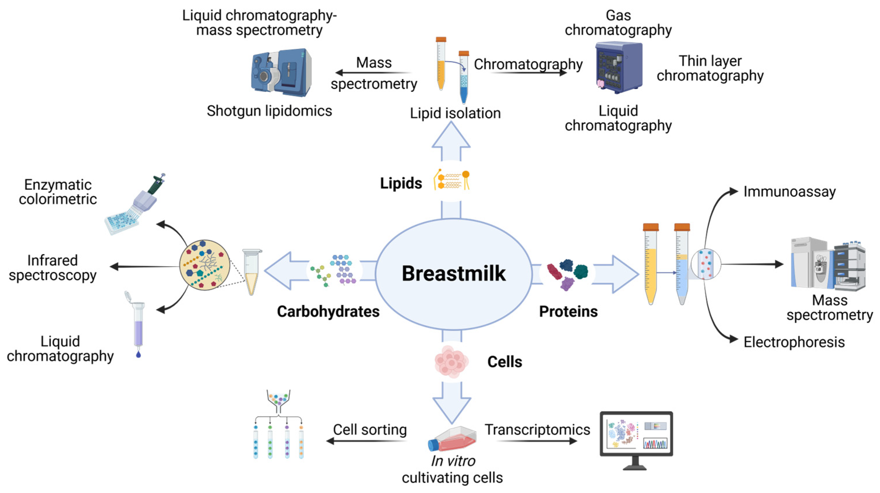 Biomolecules 15 00325 g001