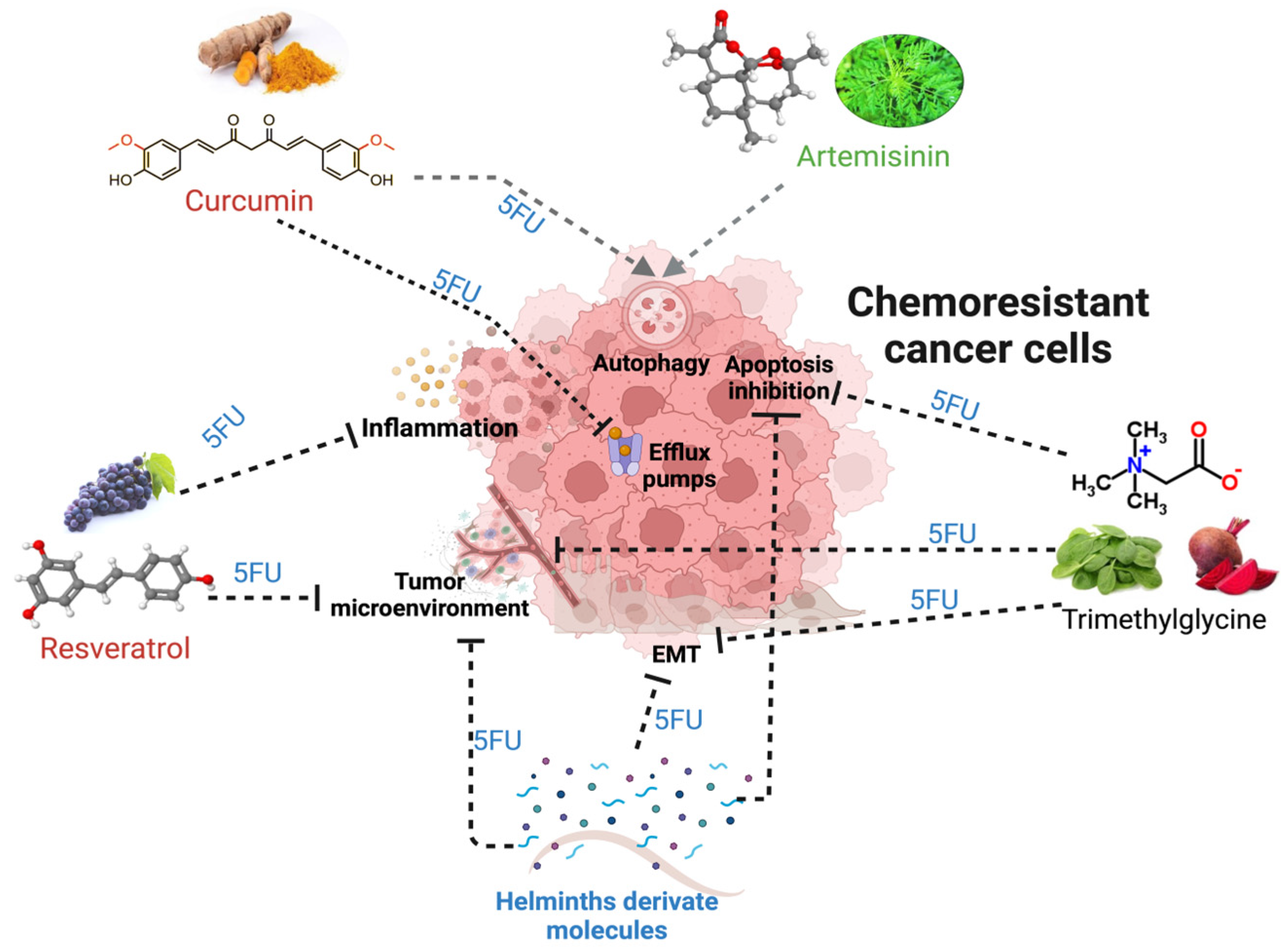 Biomolecules 15 00326 g006