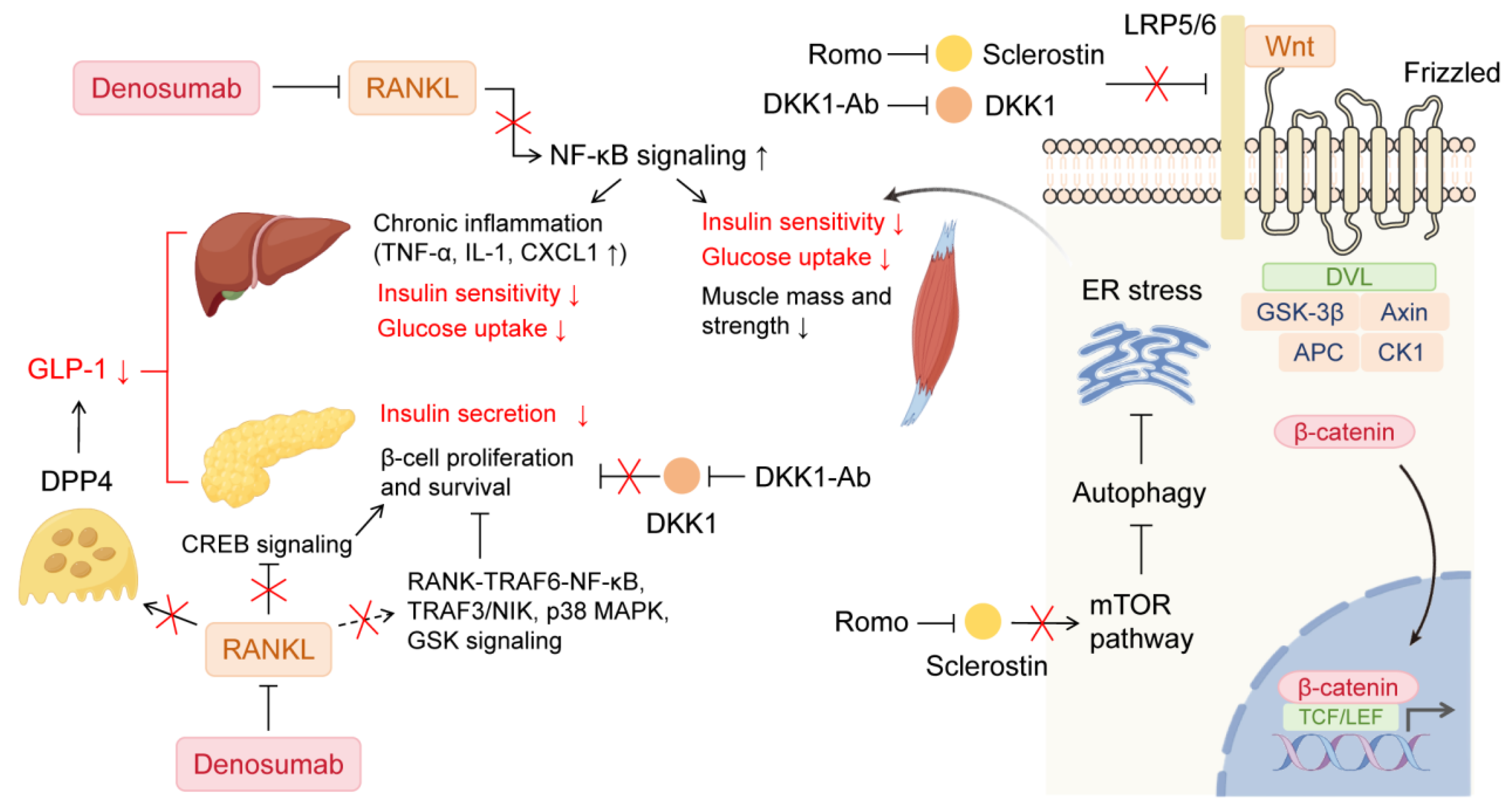 Biomolecules 15 00331 g001