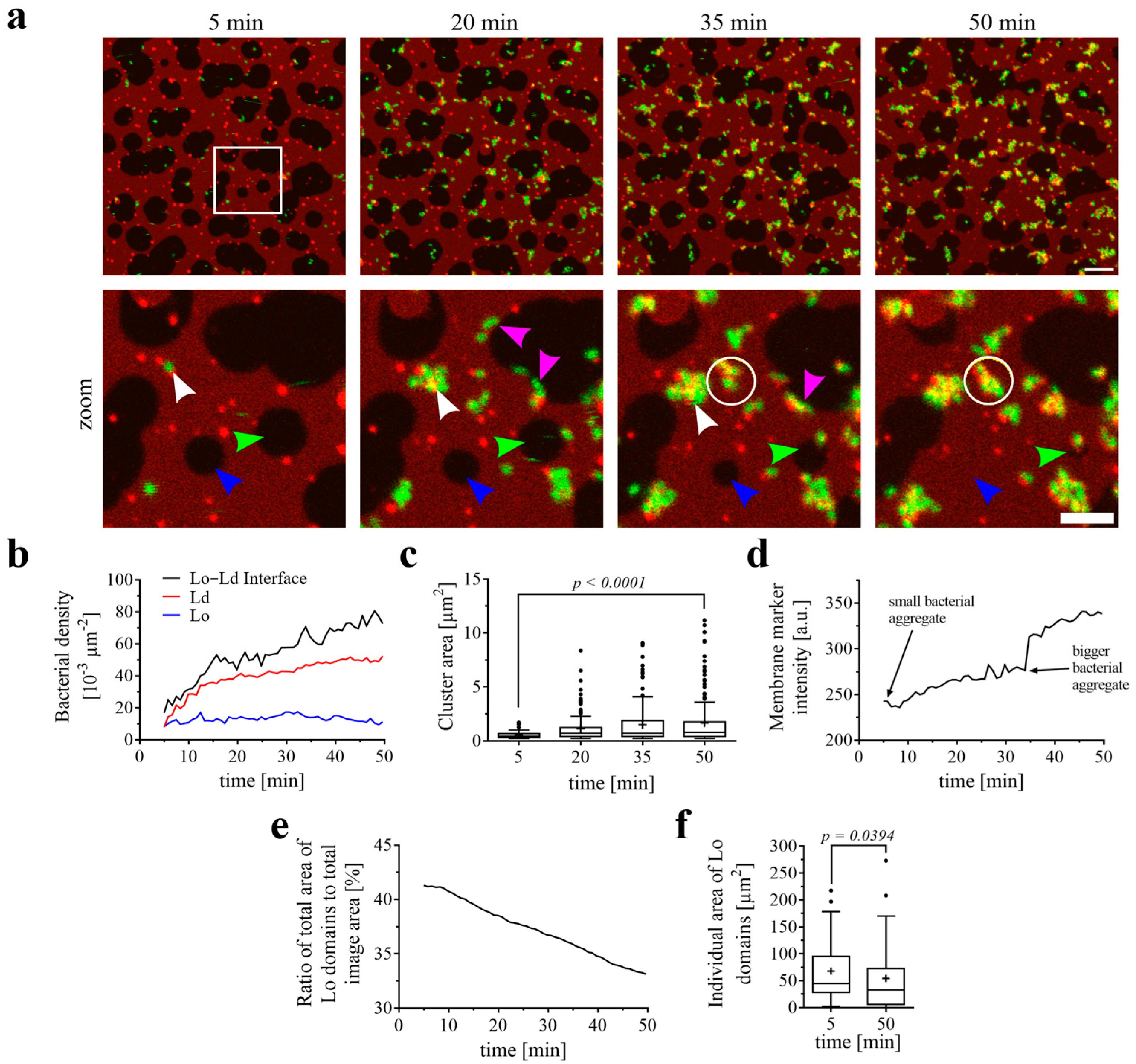 Biomolecules 15 00341 g001 Biomolecules 15 00341 g001