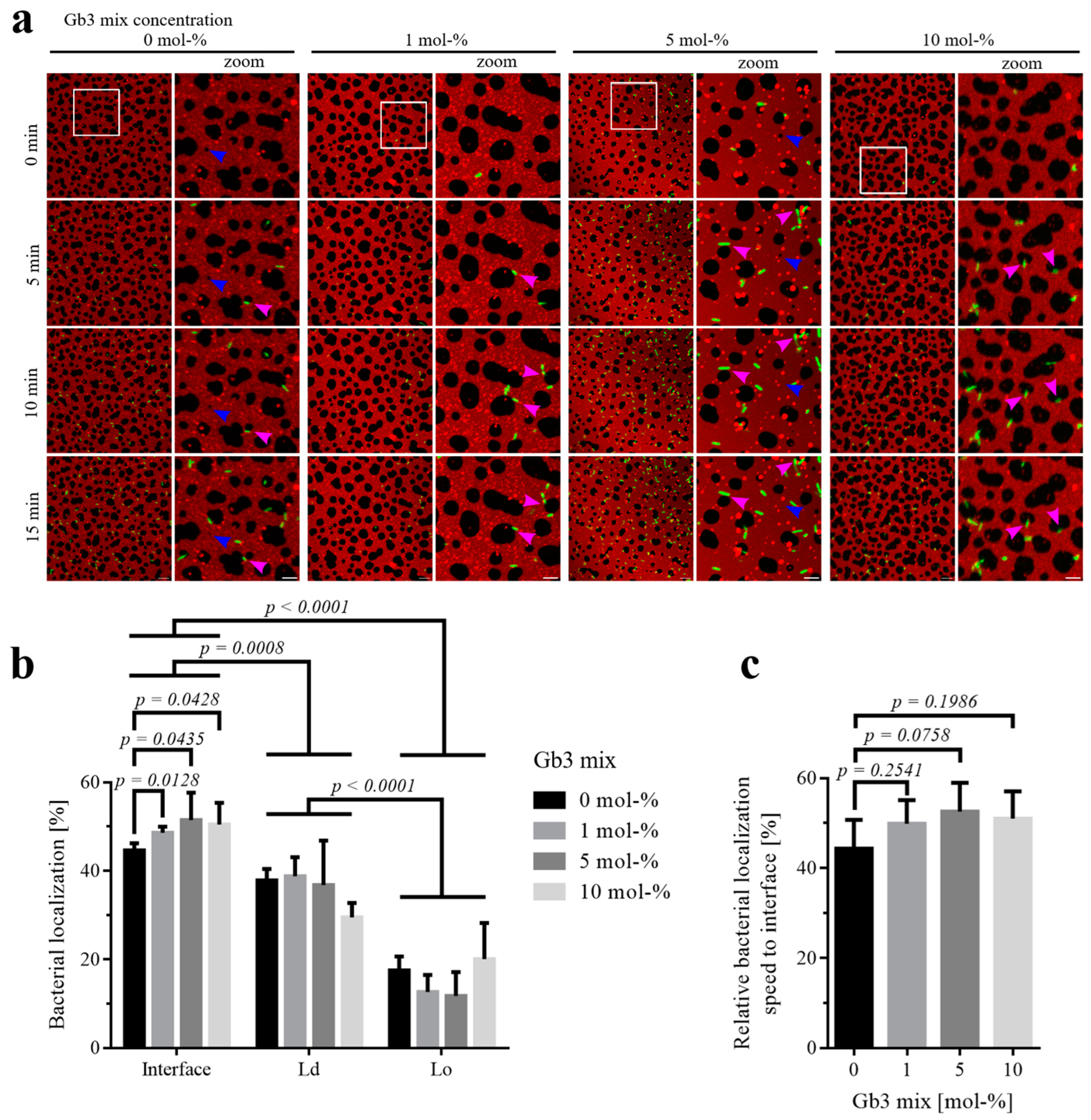 Biomolecules 15 00341 g002 Biomolecules 15 00341 g002