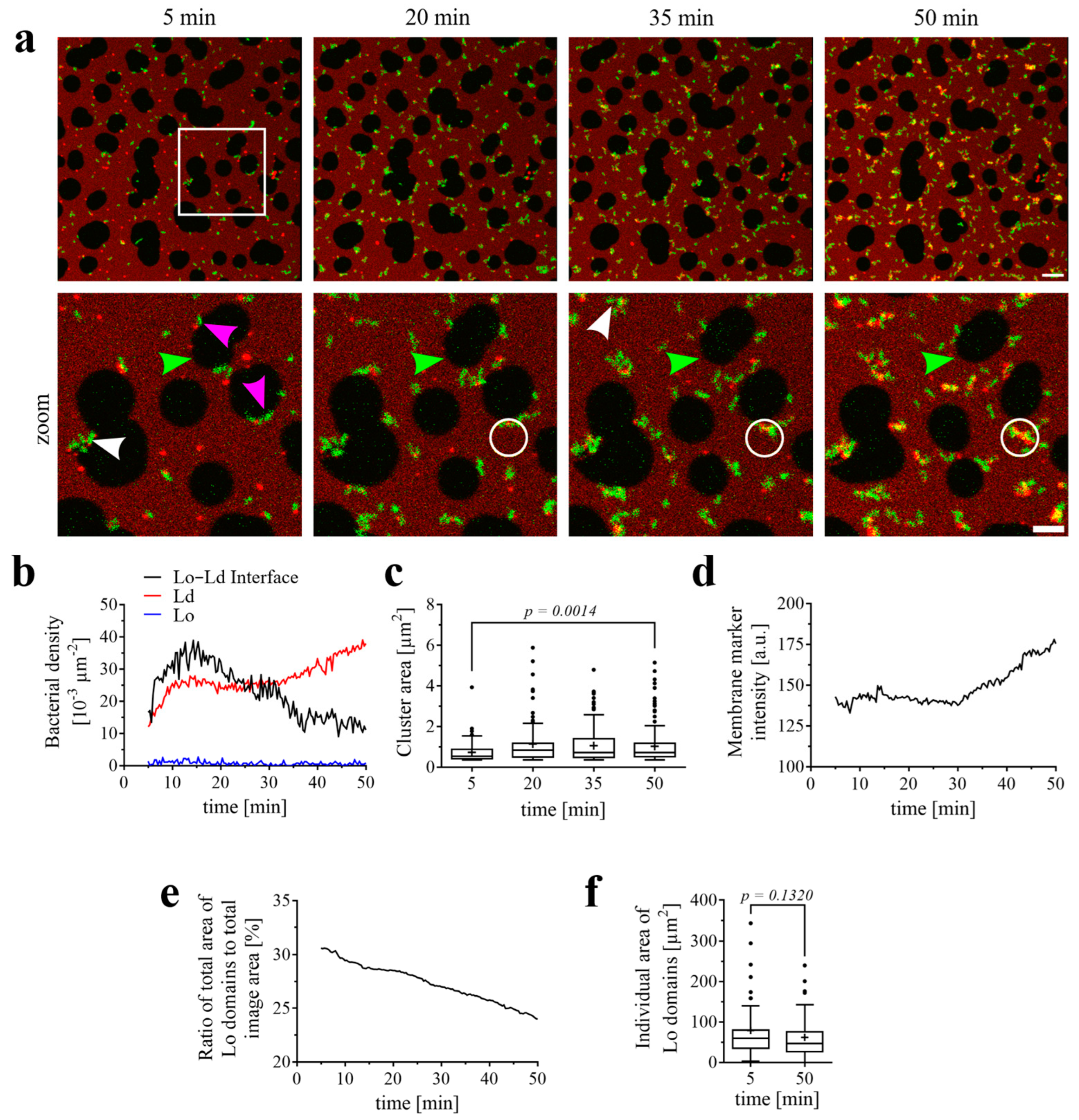 Biomolecules 15 00341 g003 Biomolecules 15 00341 g003