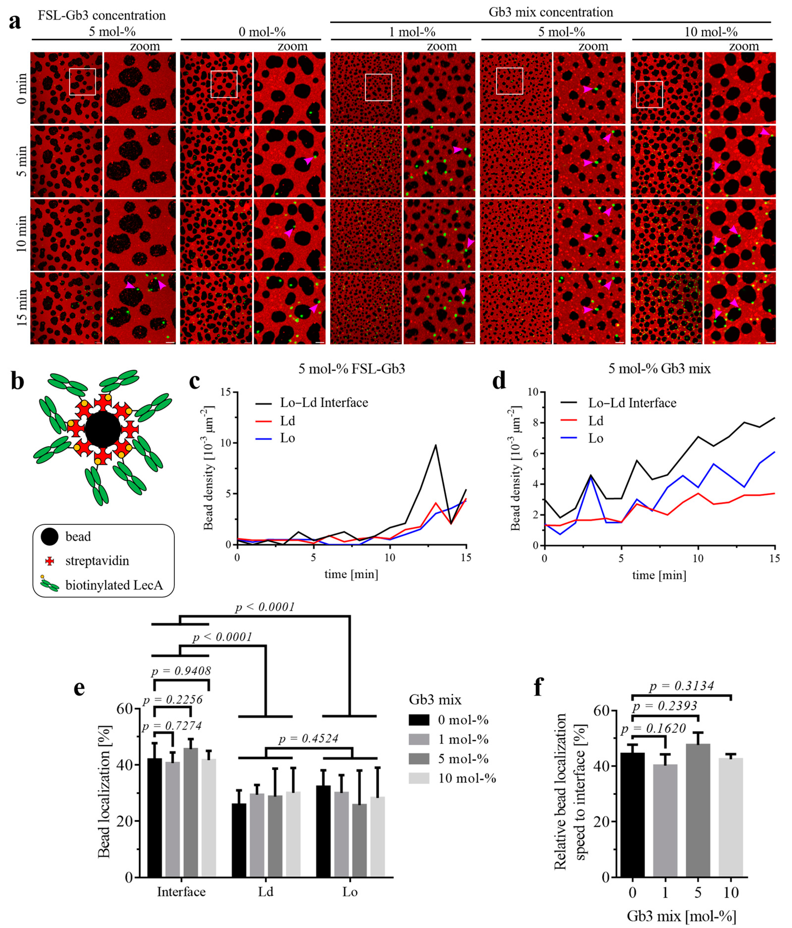 Biomolecules 15 00341 g004 Biomolecules 15 00341 g004