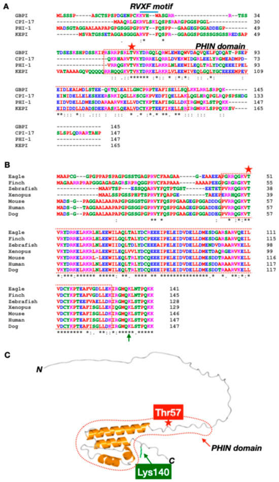 Biomolecules 15 00344 g001