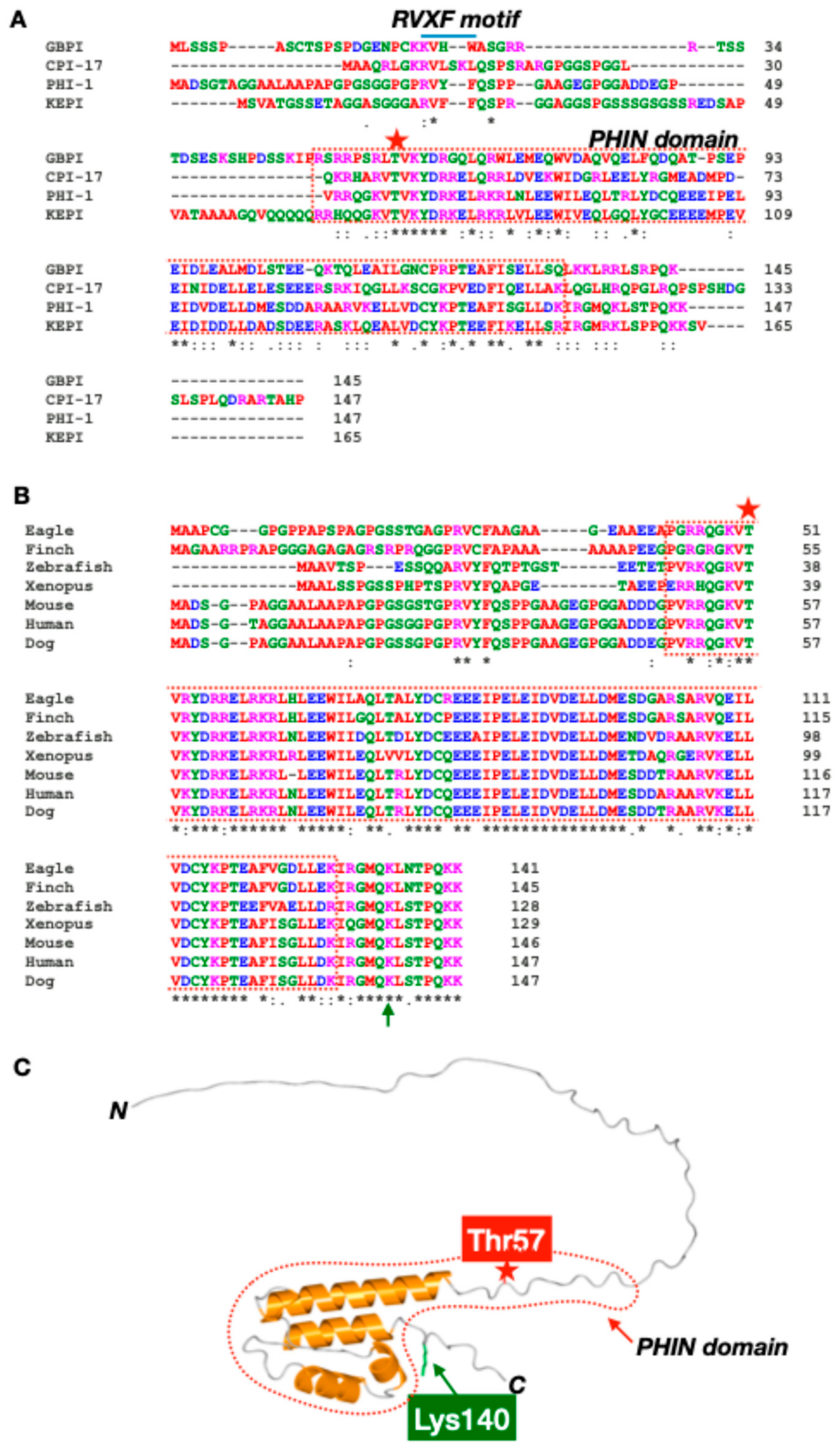 Biomolecules 15 00344 g001