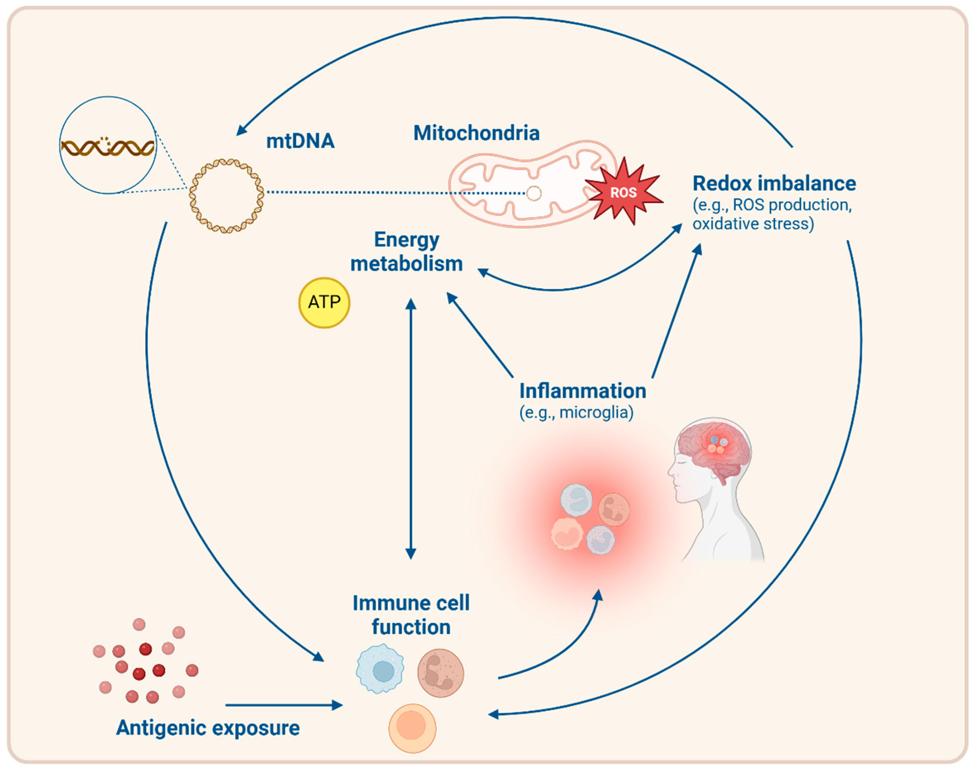 Biomolecules 15 00357 g003 Biomolecules 15 00357 g003