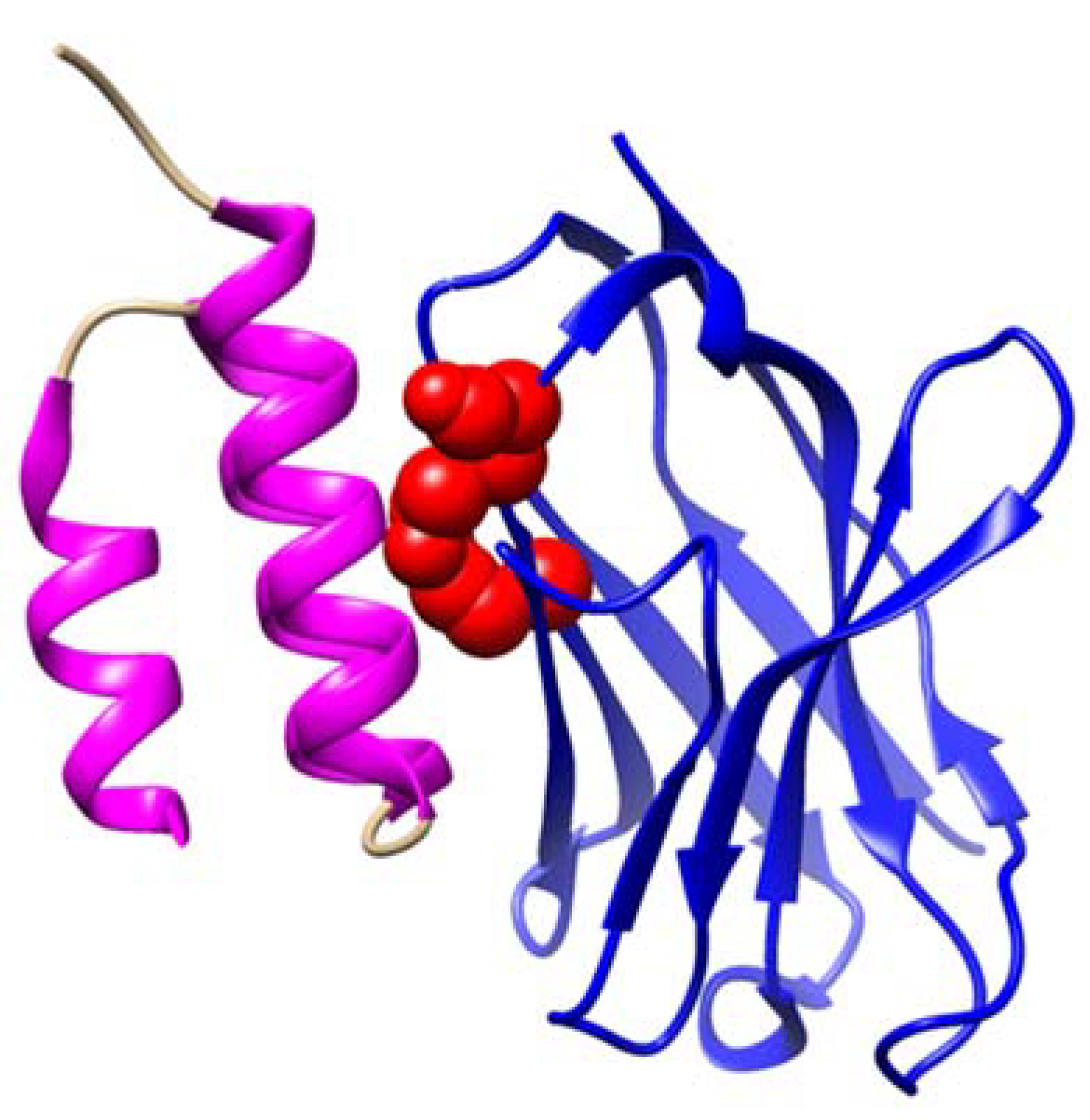 Biomolecules 15 00369 g002