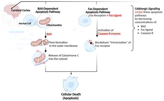 Biomolecules 15 00399 g001