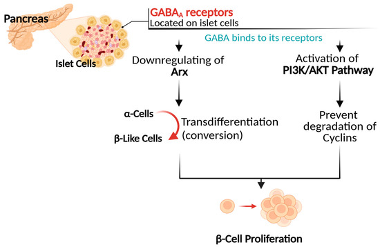 Biomolecules 15 00399 g002