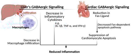 Biomolecules 15 00399 g004