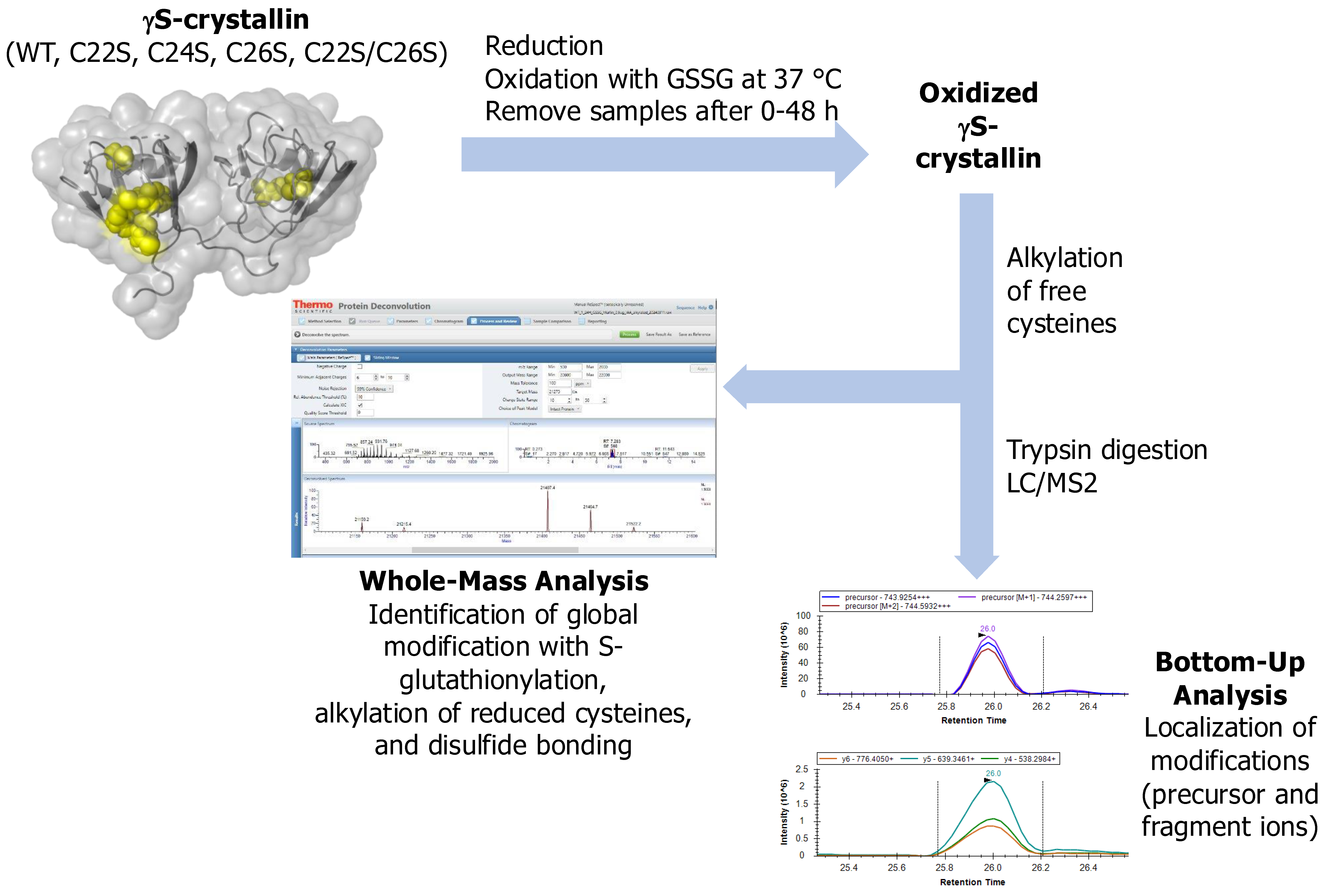 Biomolecules 15 00402 g002
