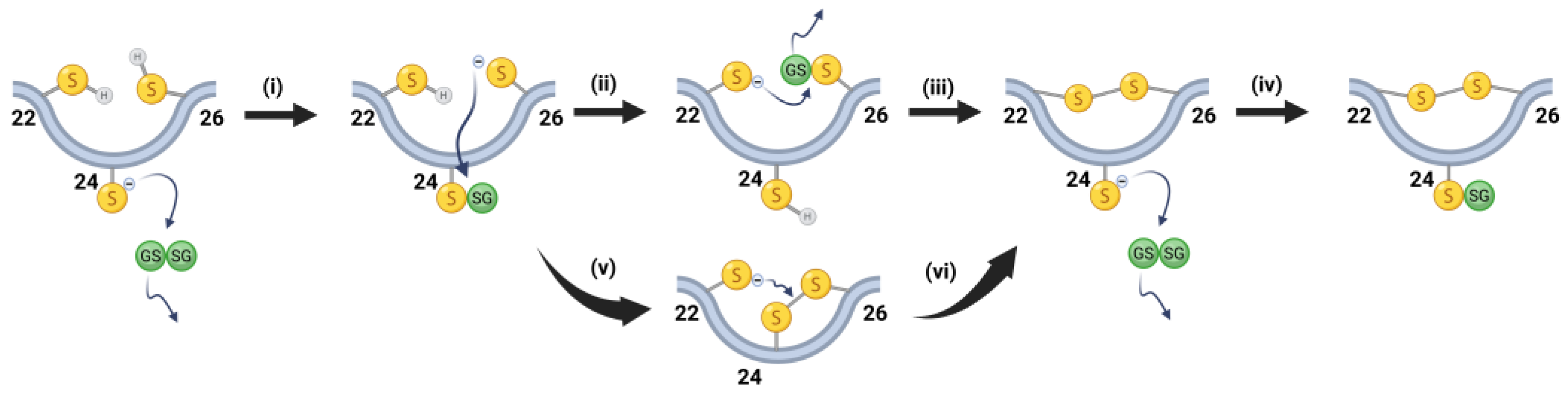 Biomolecules 15 00402 g008