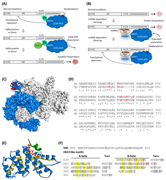 Biomolecules 15 00403 g001