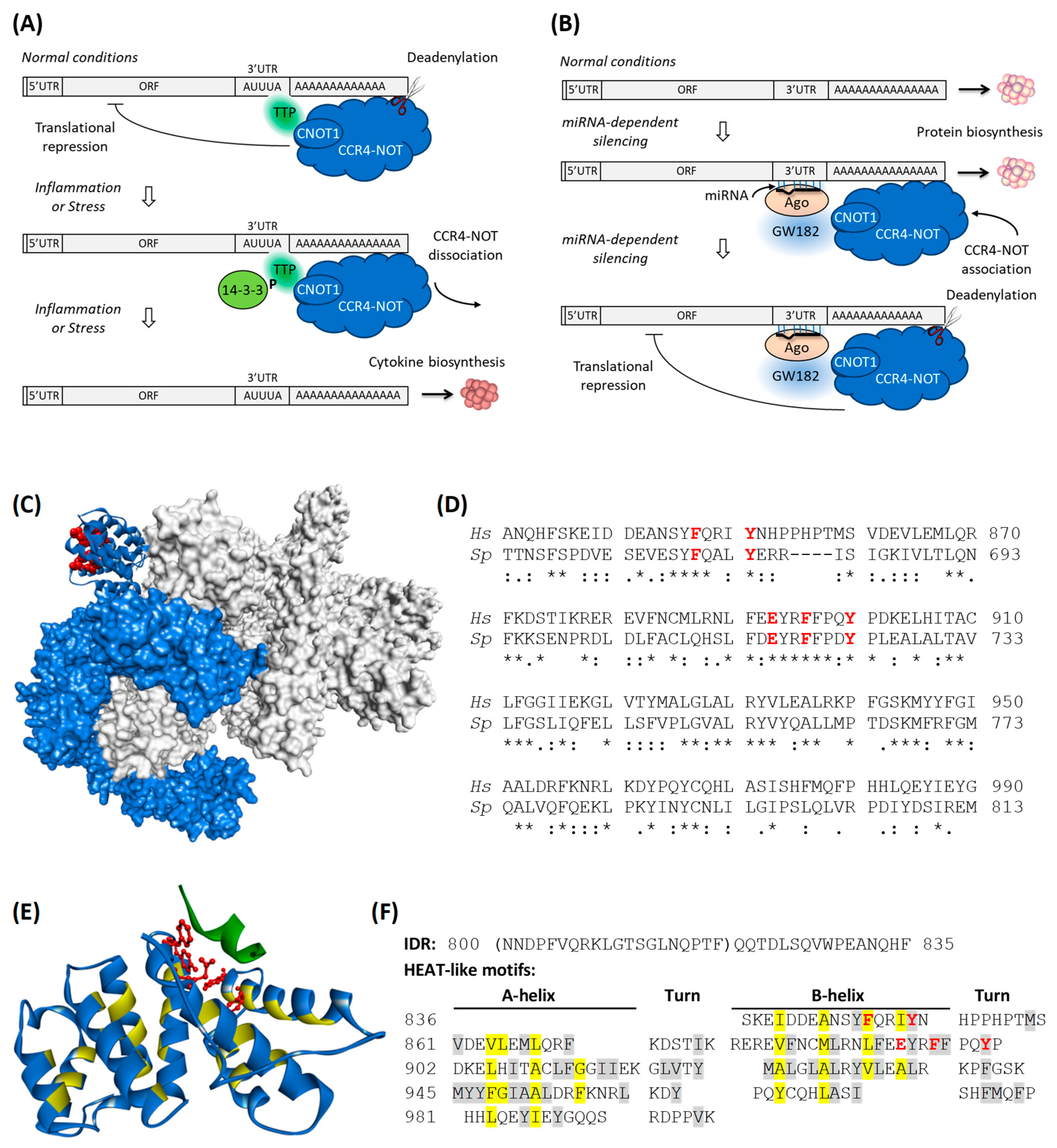 Biomolecules 15 00403 g001 Biomolecules 15 00403 g001
