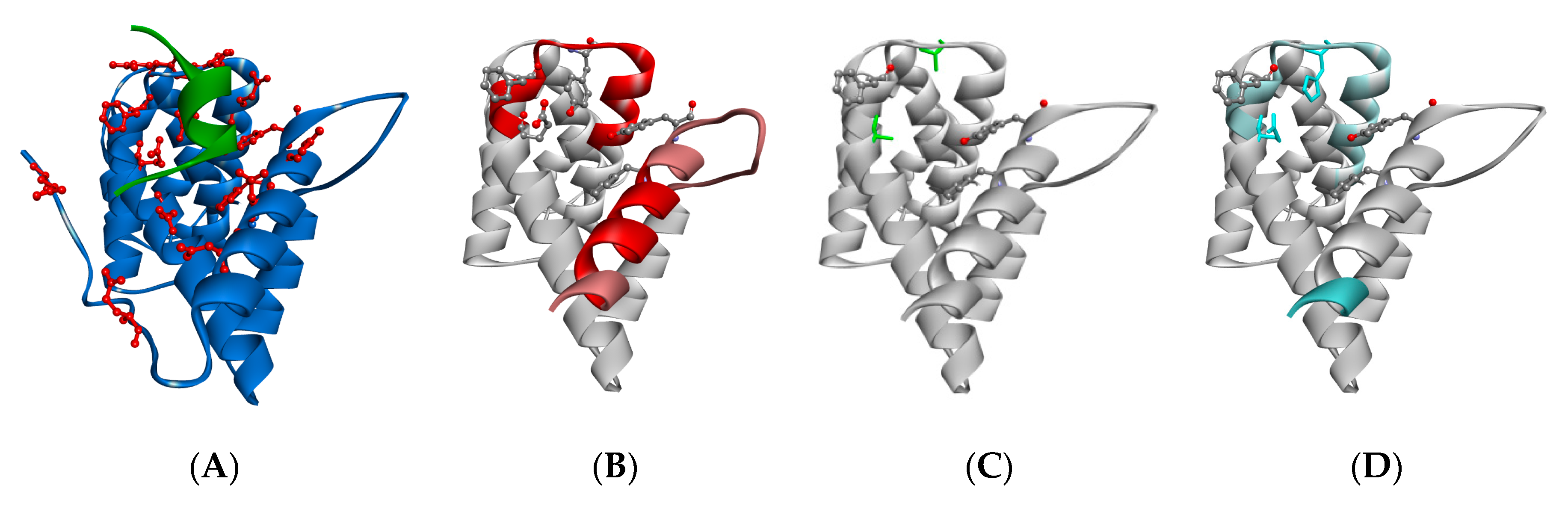 Biomolecules 15 00403 g006 Biomolecules 15 00403 g006