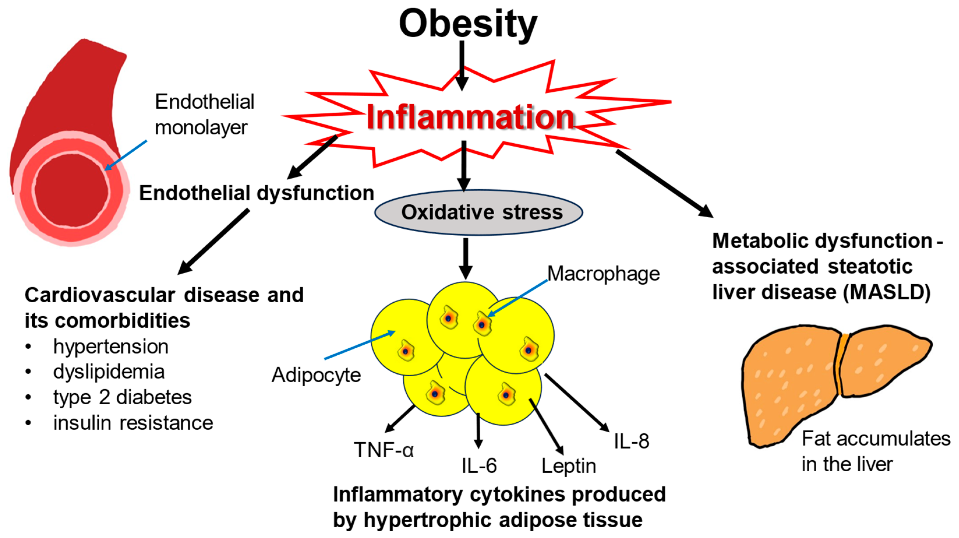 Biomolecules 15 00408 g001