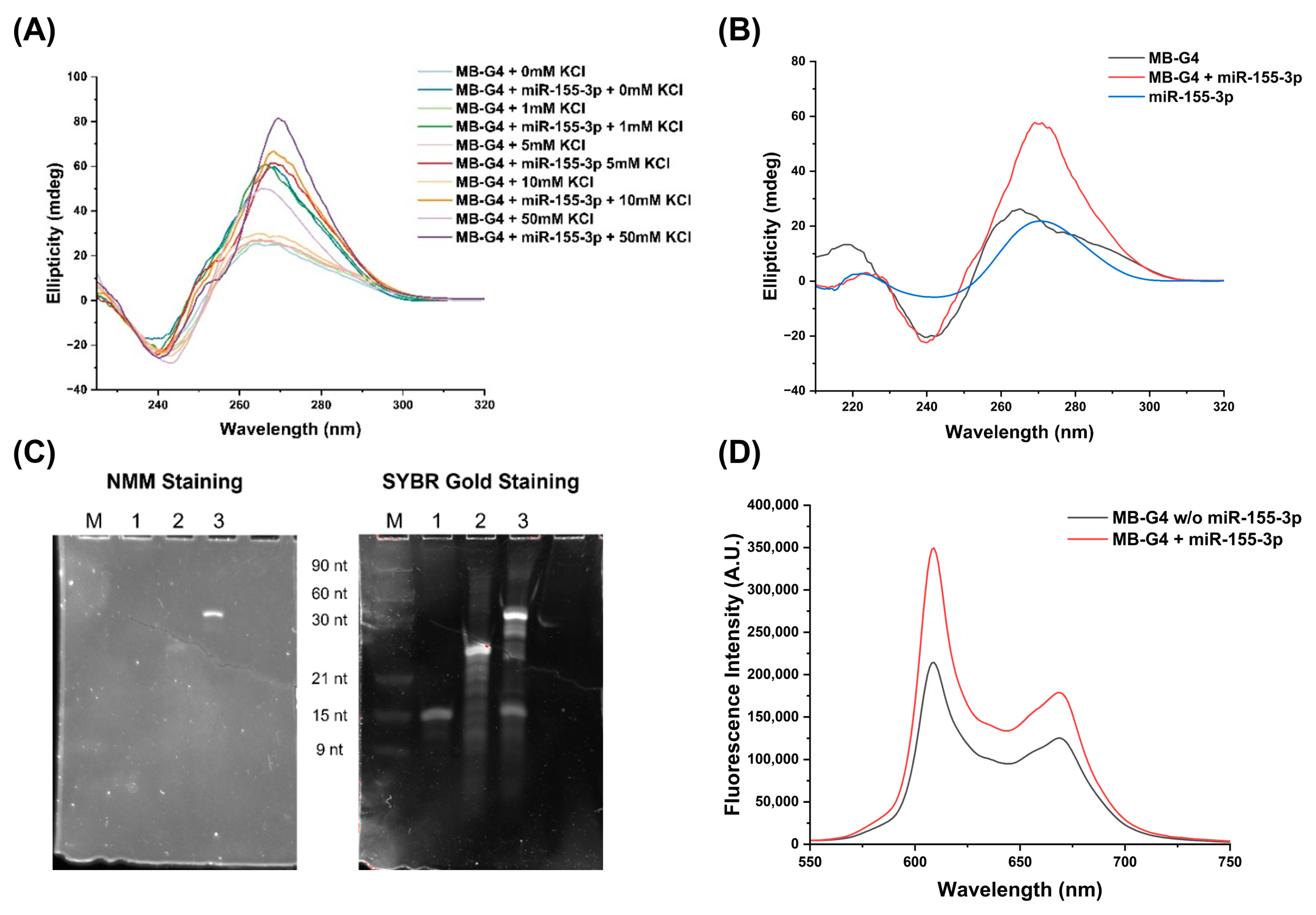 Biomolecules 15 00410 g003