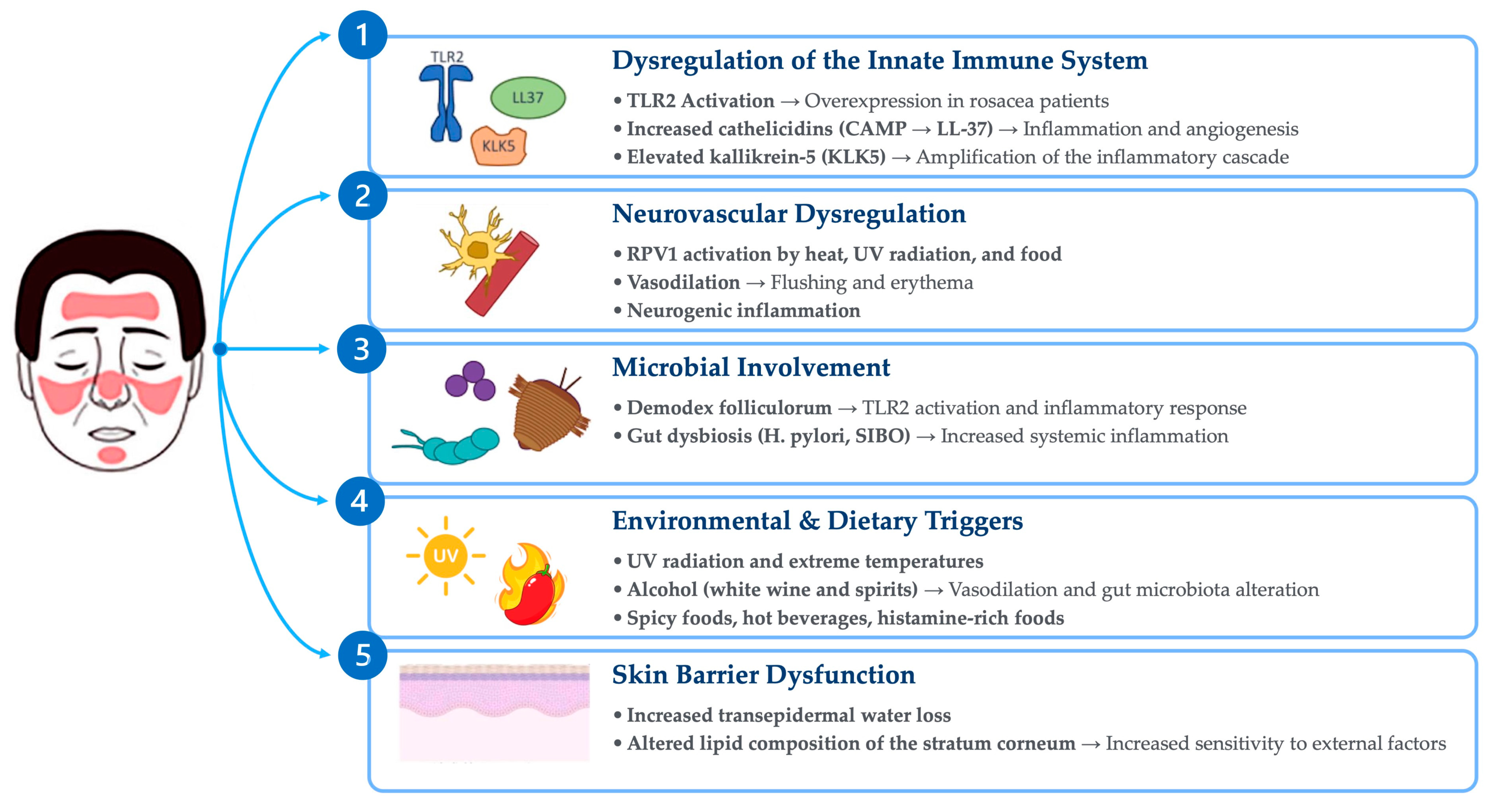 Biomolecules 15 00411 g001
