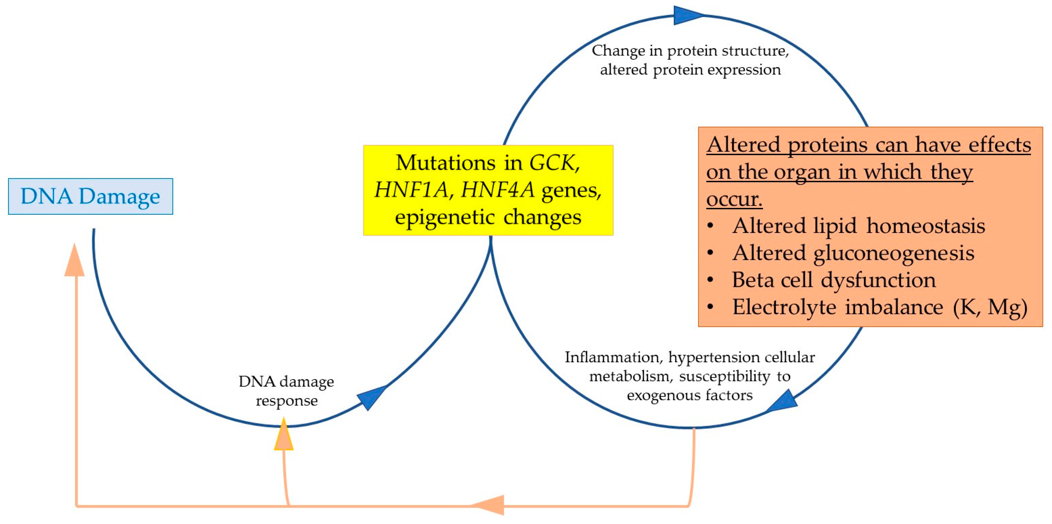 Biomolecules 15 00414 g003