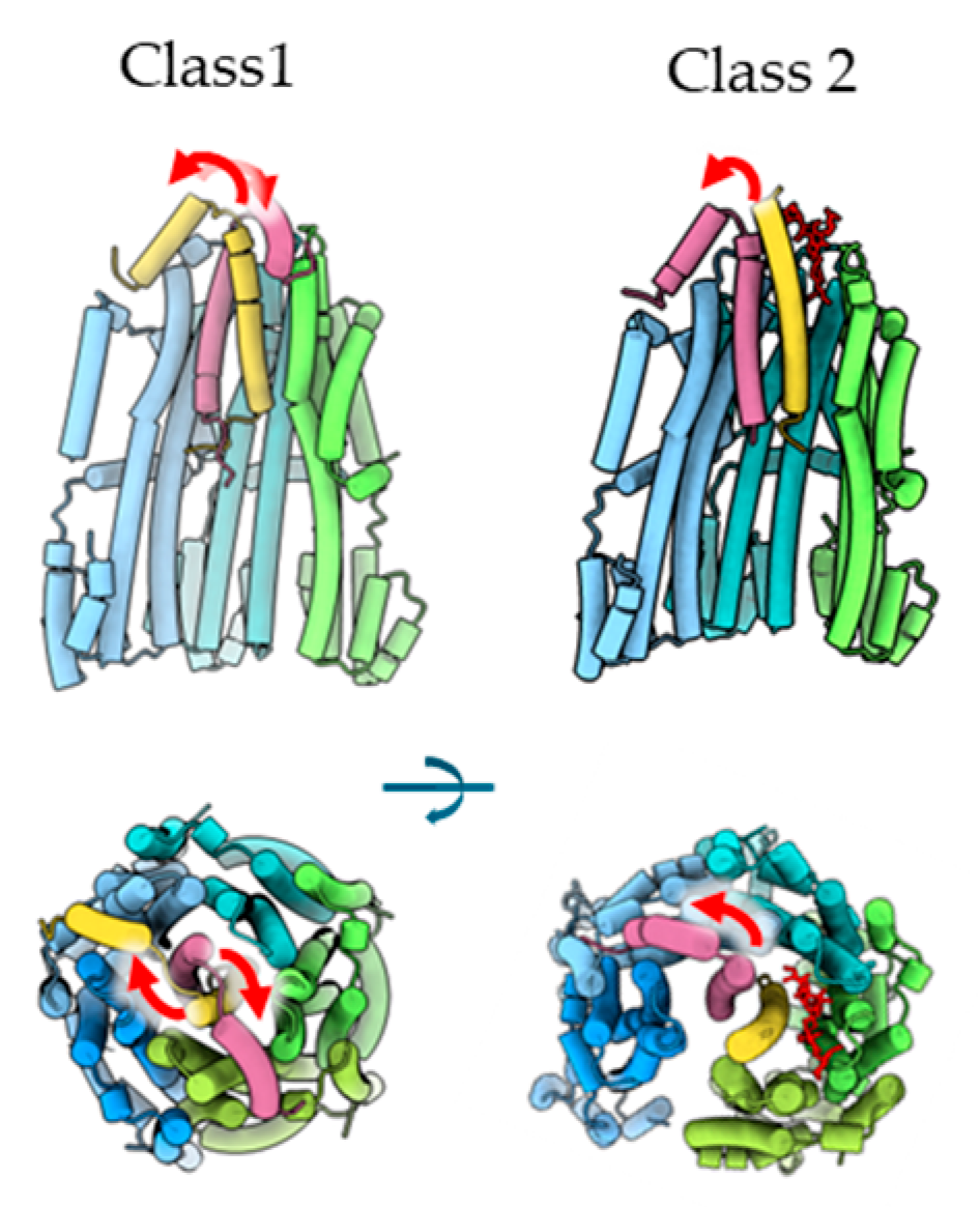 Biomolecules 15 00435 g004