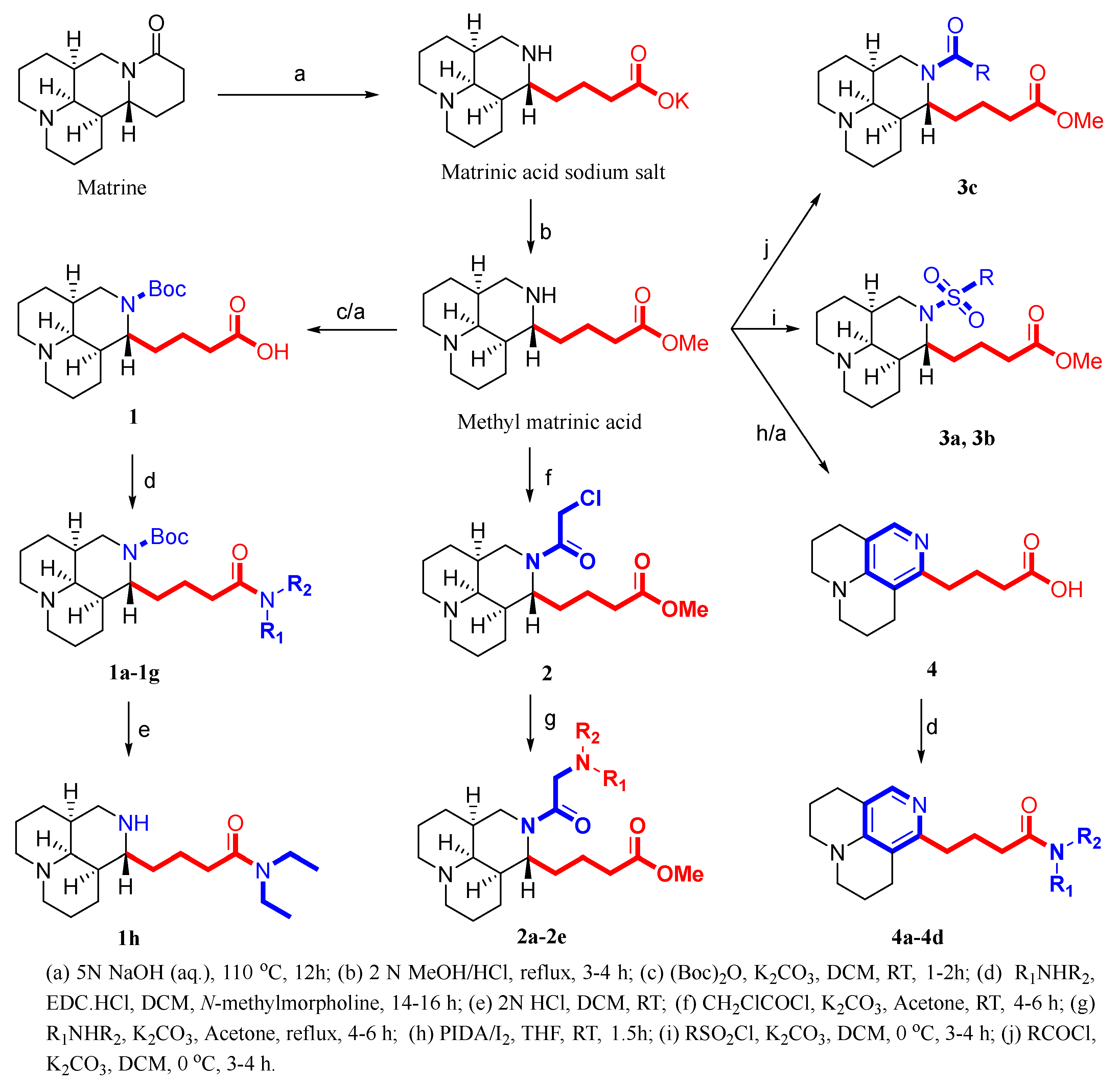 Biomolecules 15 00436 g003 Biomolecules 15 00436 g003