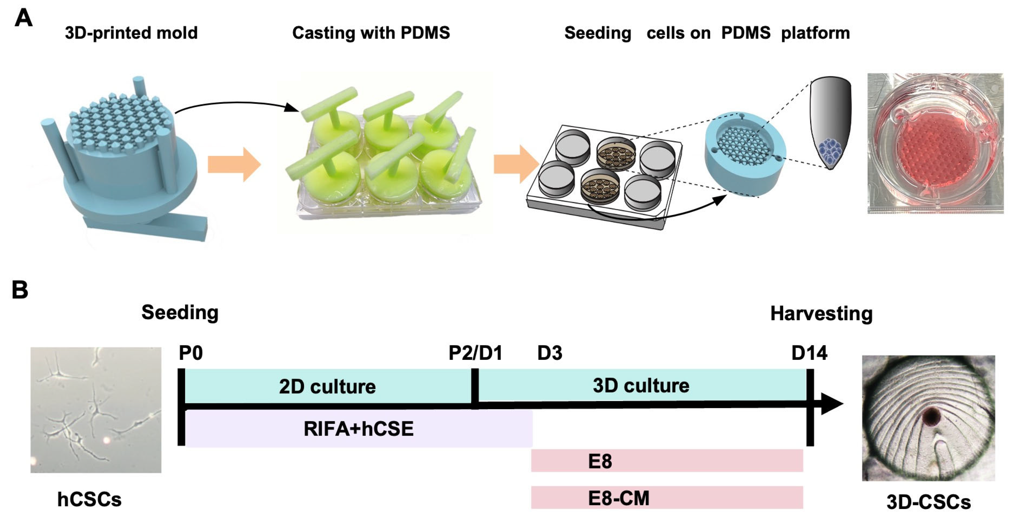 Biomolecules 15 00438 g001 Biomolecules 15 00438 g001