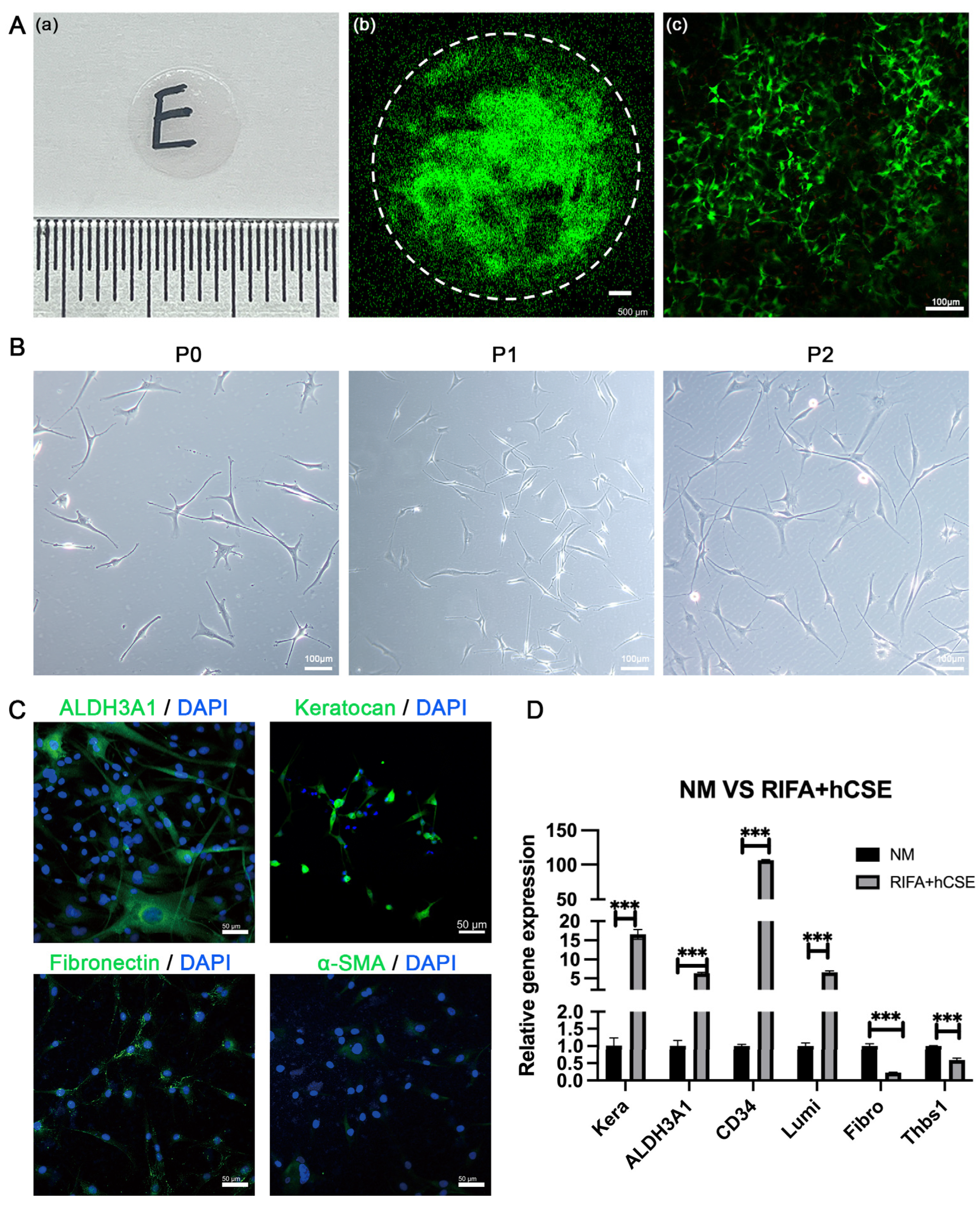 Biomolecules 15 00438 g002 Biomolecules 15 00438 g002