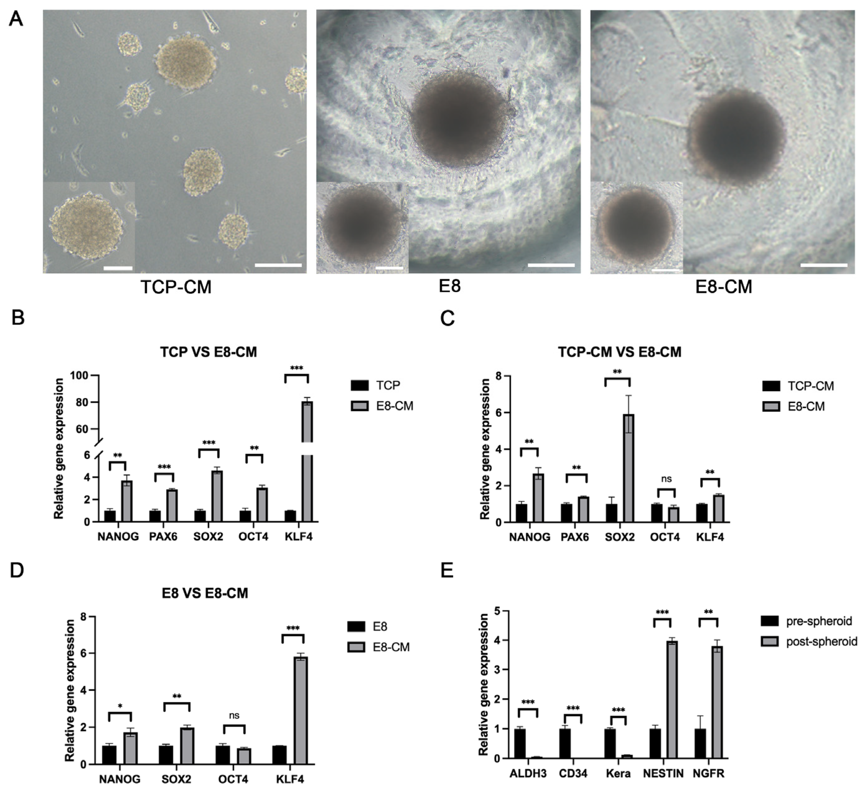 Biomolecules 15 00438 g003 Biomolecules 15 00438 g003