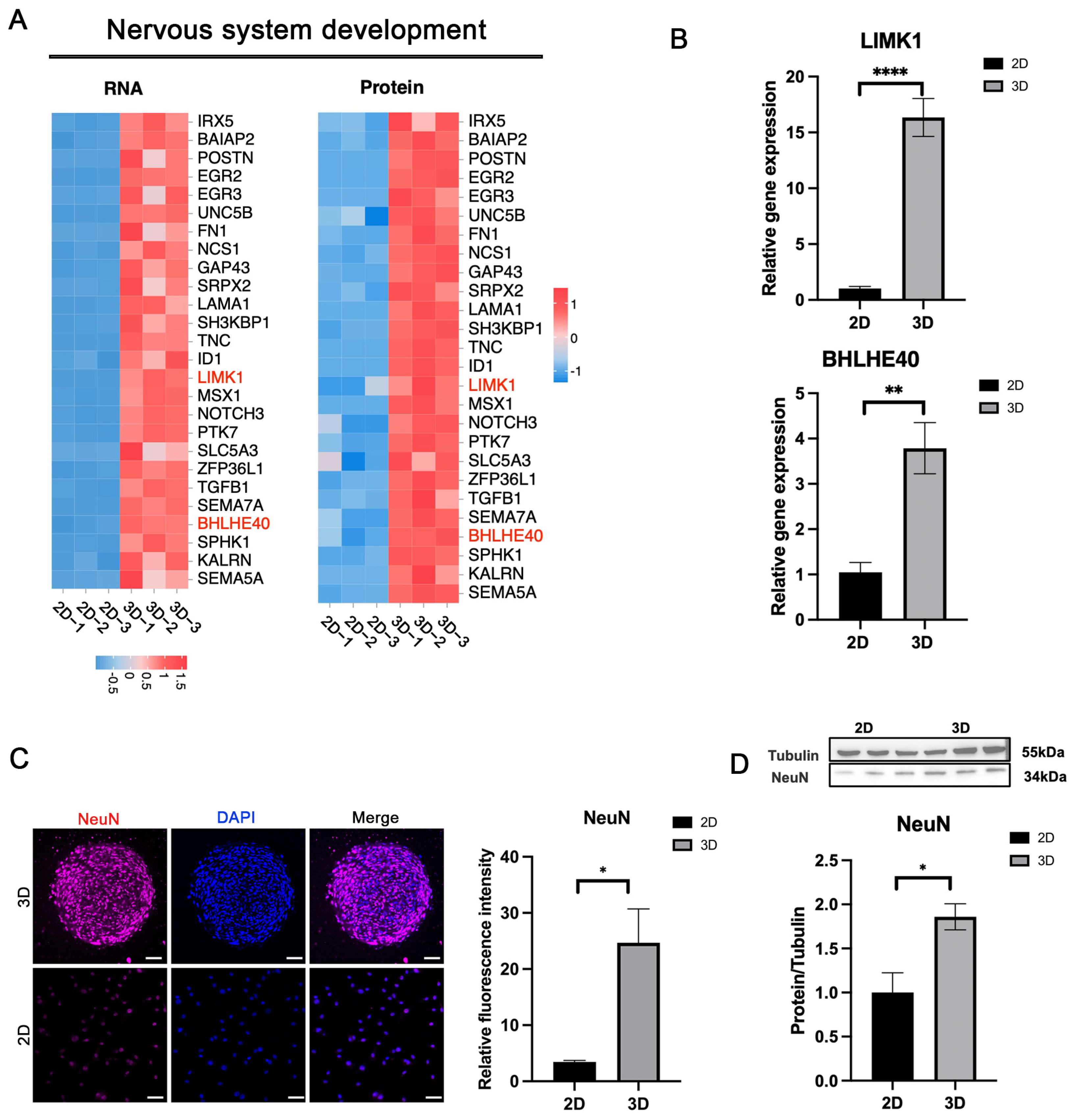 Biomolecules 15 00438 g007 Biomolecules 15 00438 g007