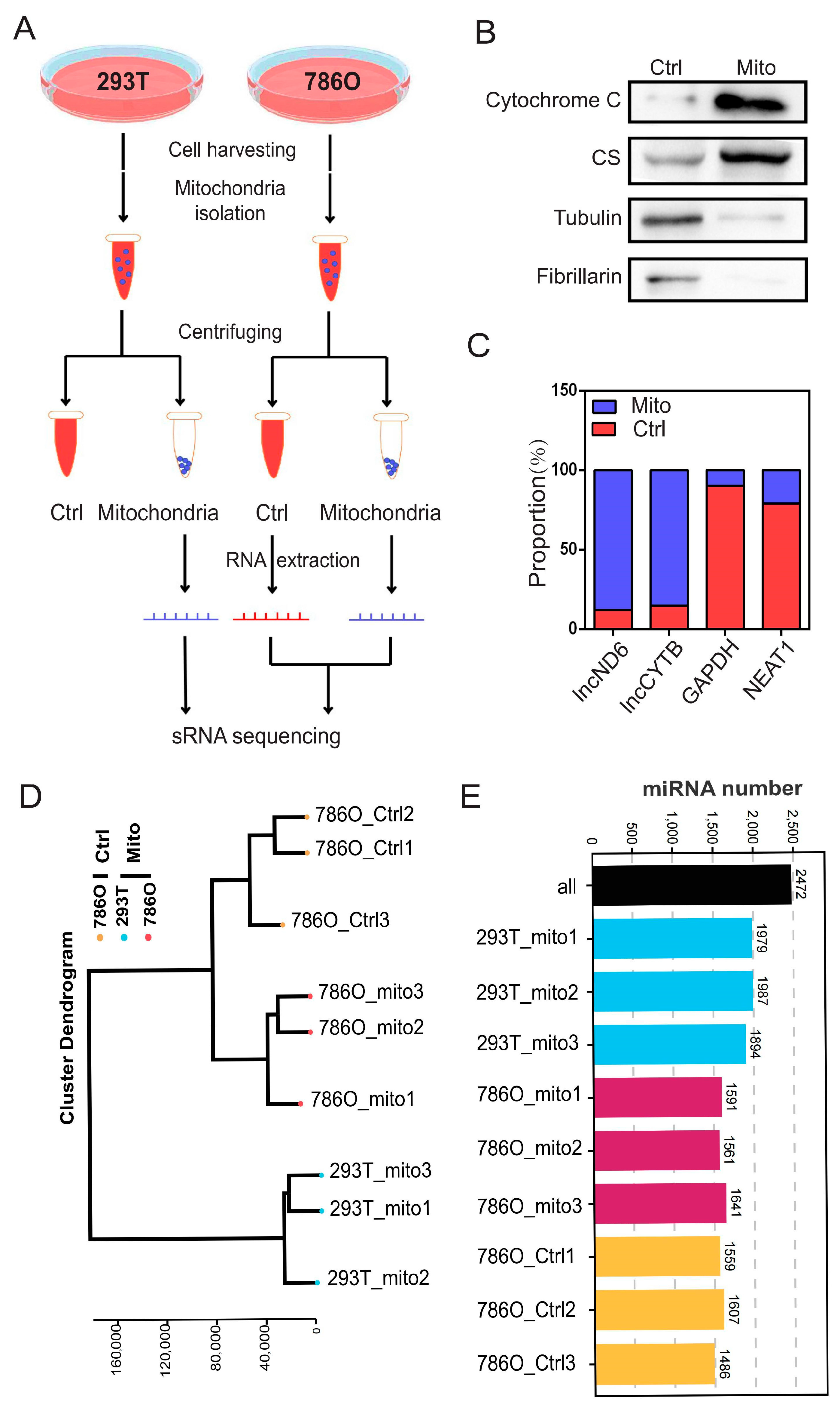 Biomolecules 15 00445 g001