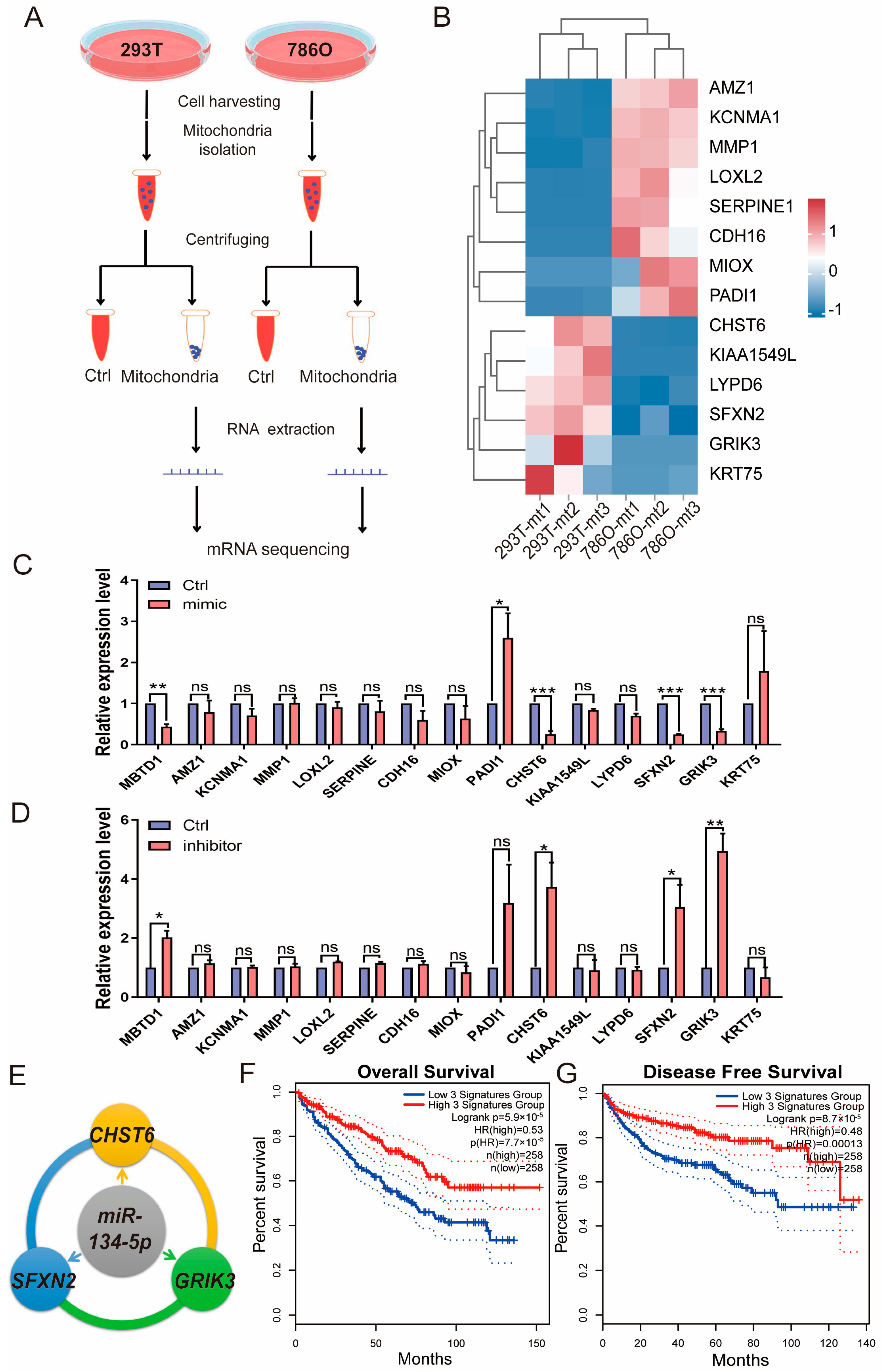 Biomolecules 15 00445 g004