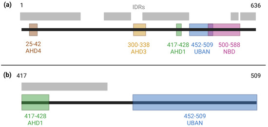 Biomolecules 15 00453 g001