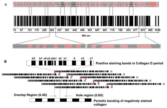 Biomolecules 15 00457 g002